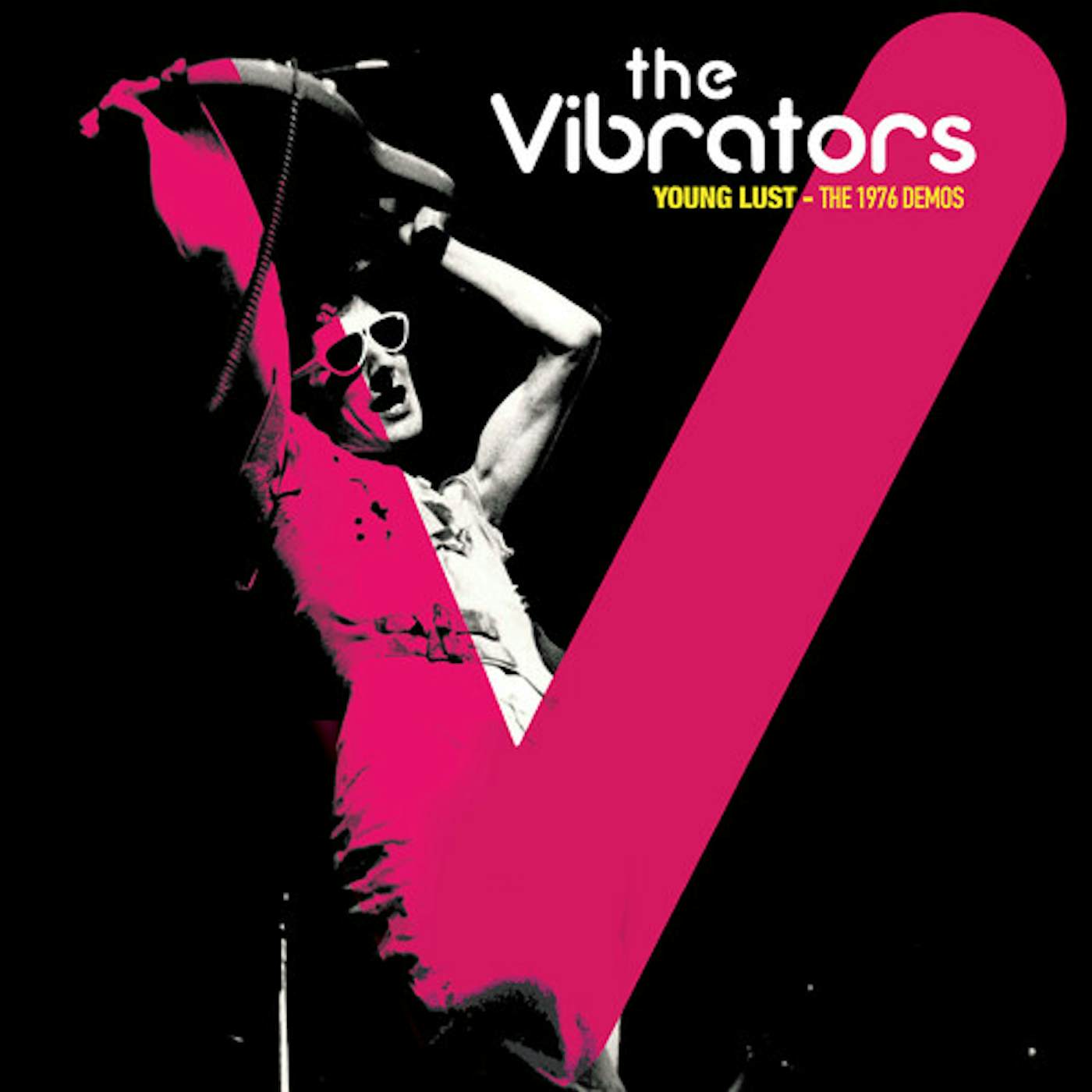 The Vibrators DEMOS 1976 Vinyl Record