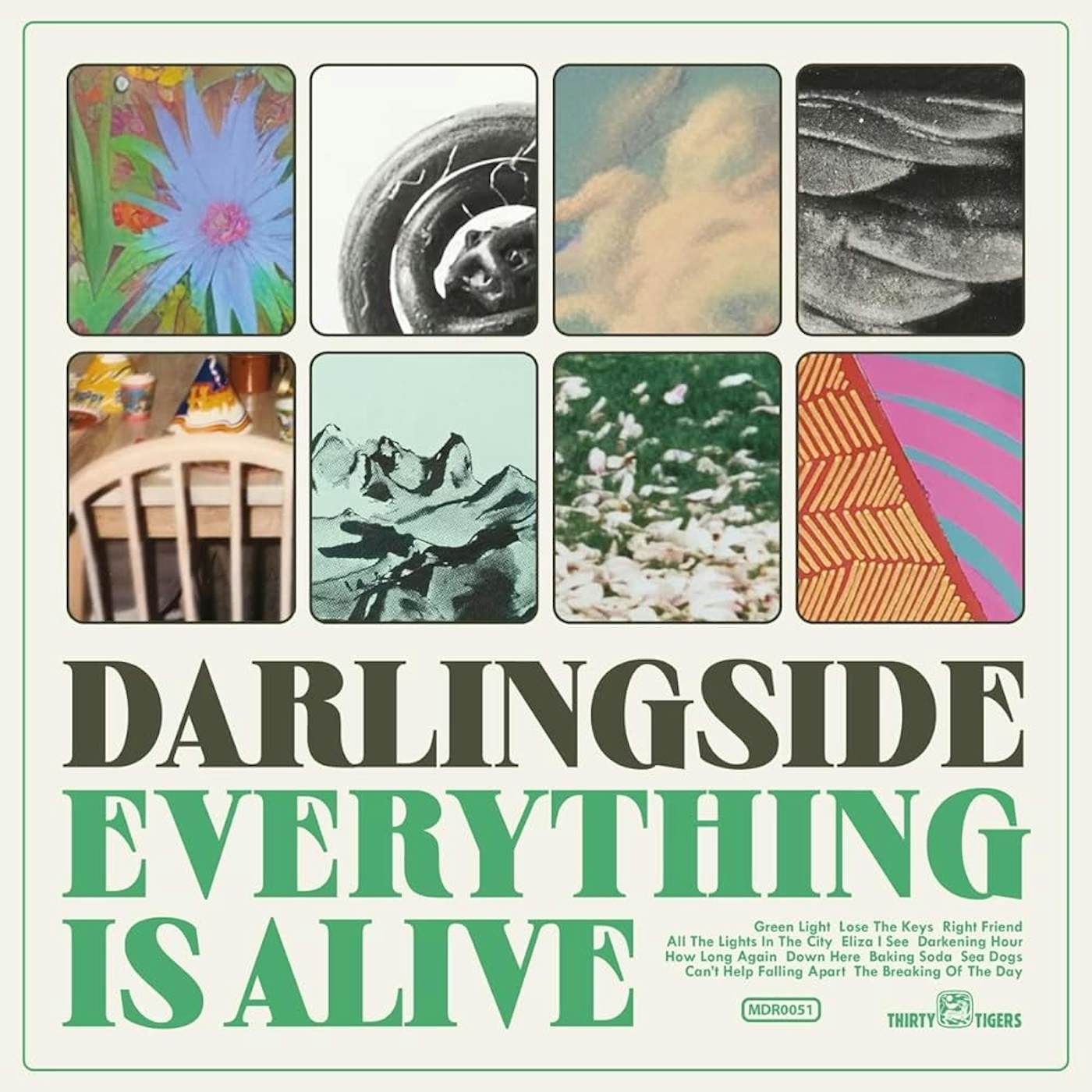 Darlingside EVERYTHING IS ALIVE Vinyl Record