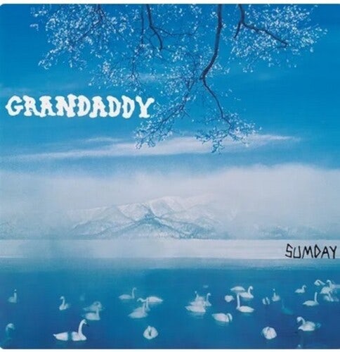 Grandaddy Sumday: Twunny (LP) Vinyl Record