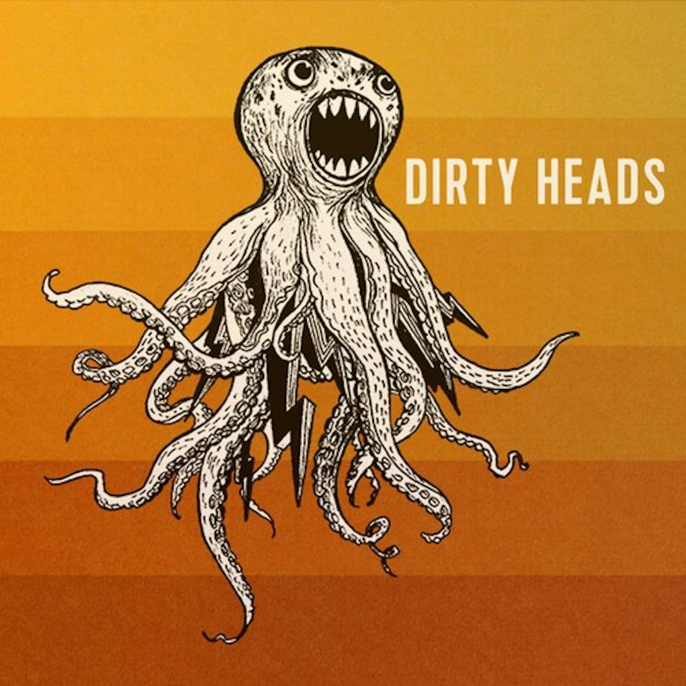 Dirty Heads Vinyl Record