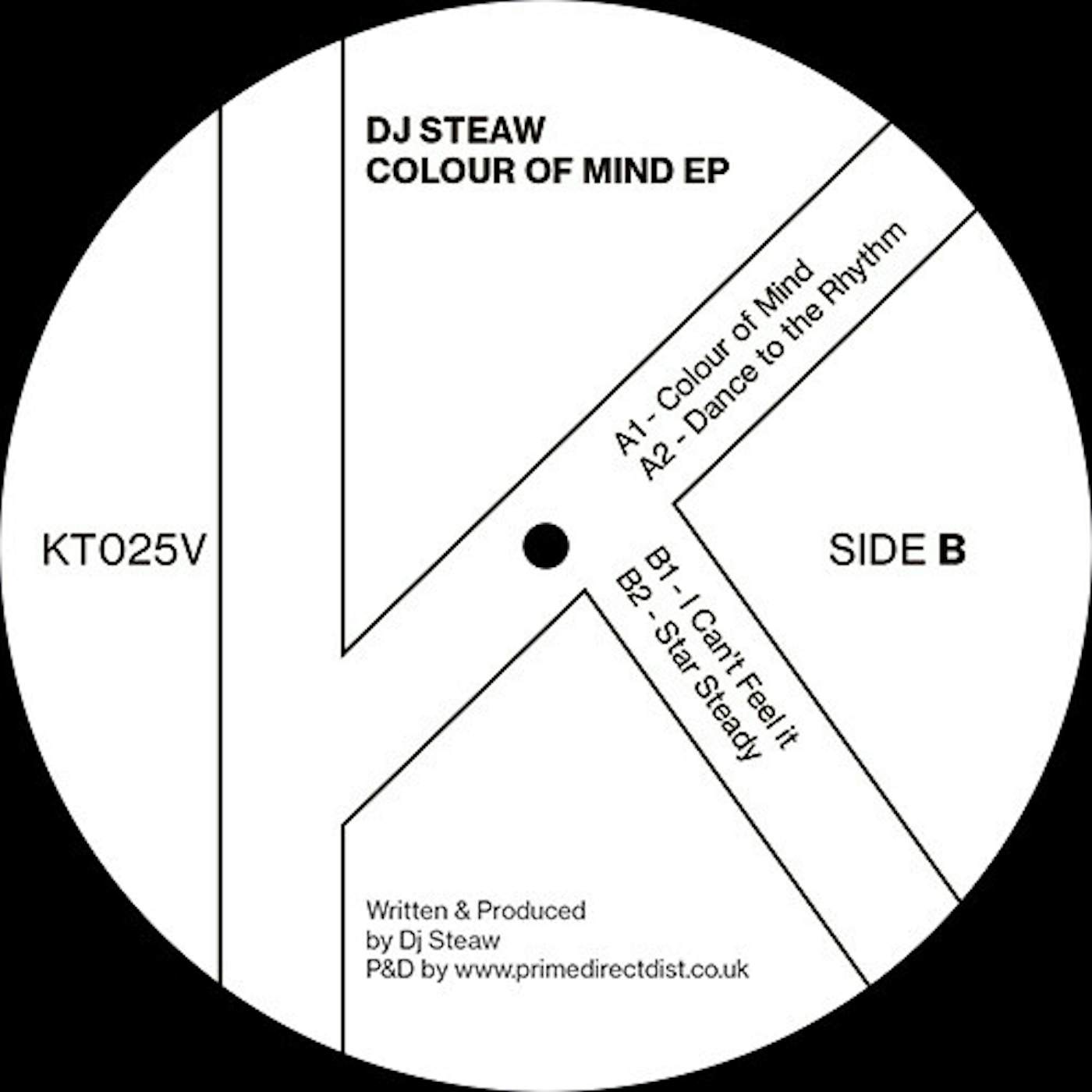 Dj Steaw COLOUR OF MIND Vinyl Record