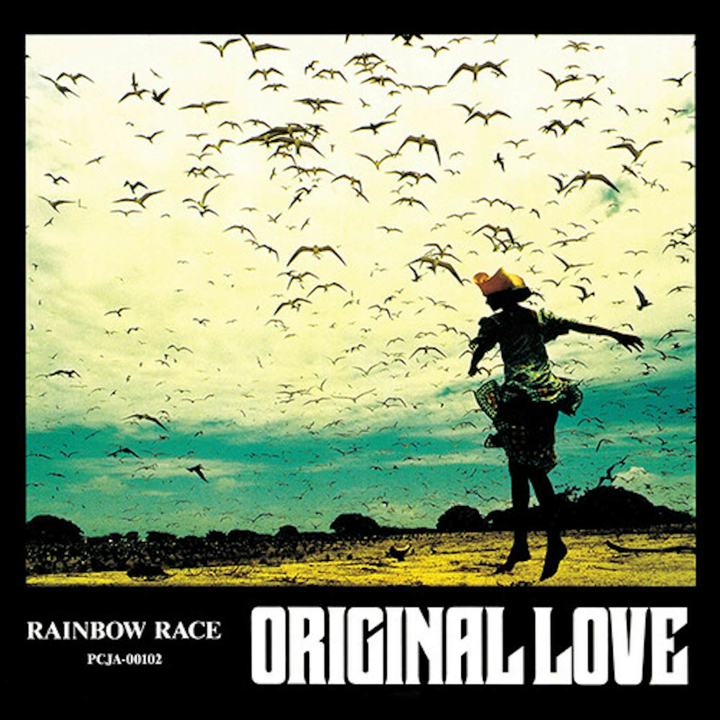 Original Love Rainbow Race Vinyl Record