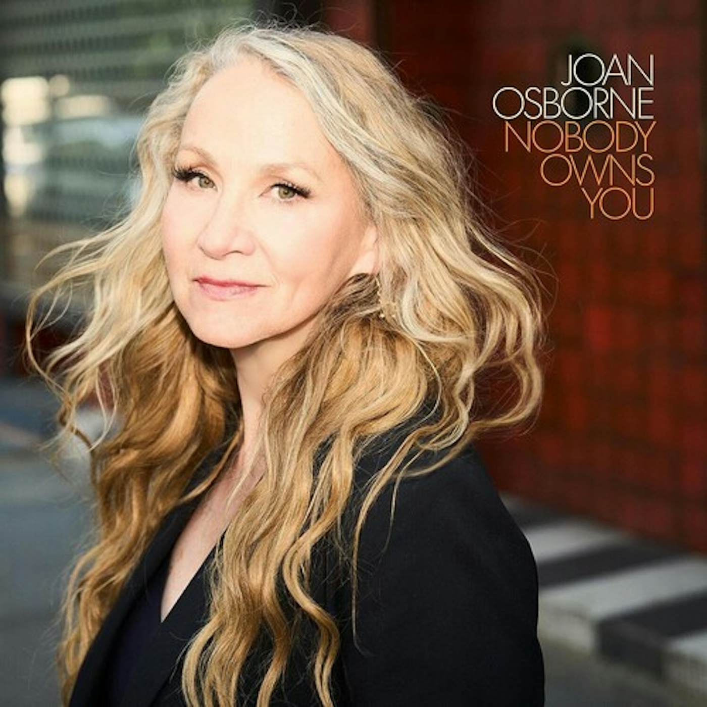 Joan Osborne NOBODY OWNS YOU CD