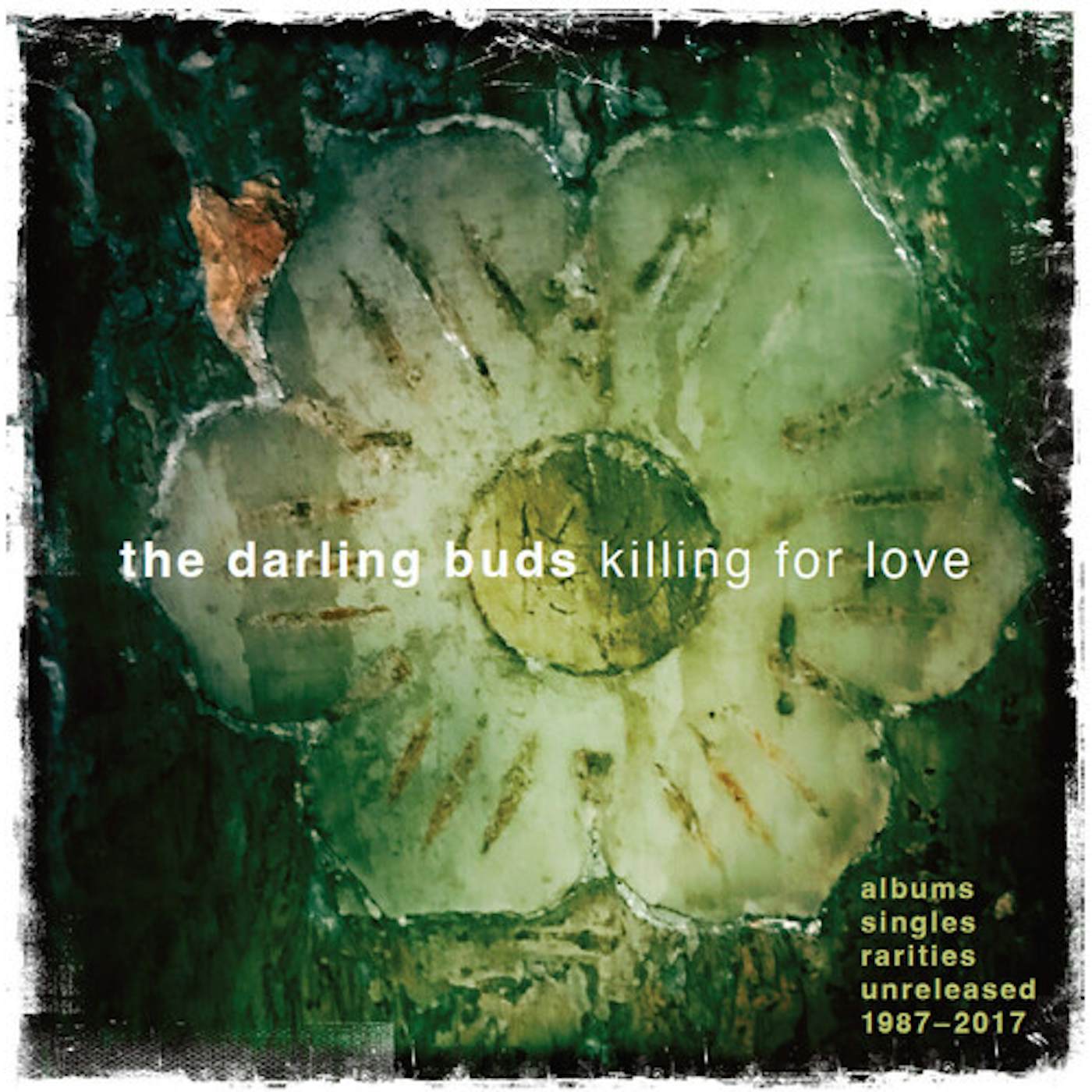 The Darling Buds KILLING FOR LOVE: ALBUMS SINGLES RARITIES CD