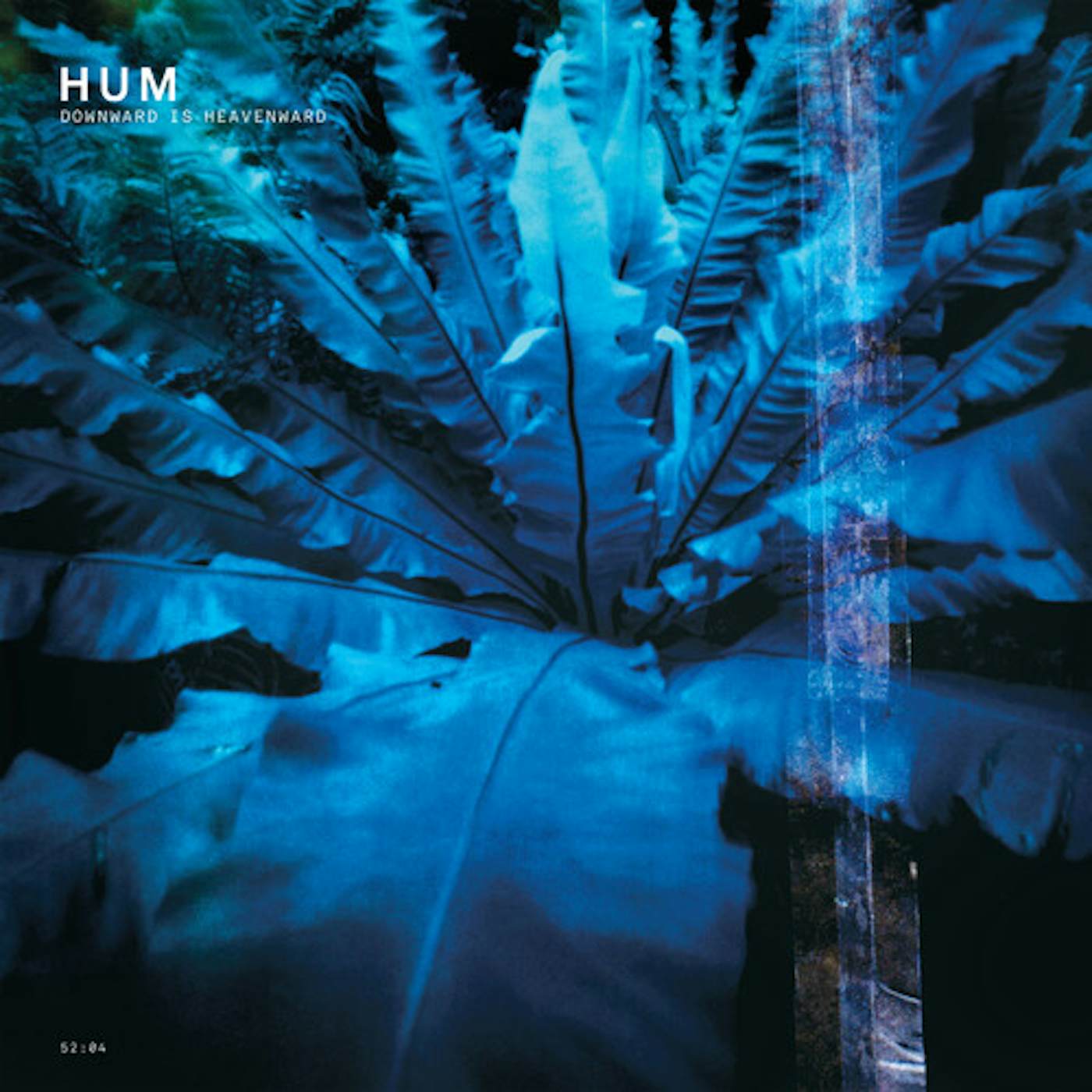 Hum Downward Is Heavenward Vinyl Record