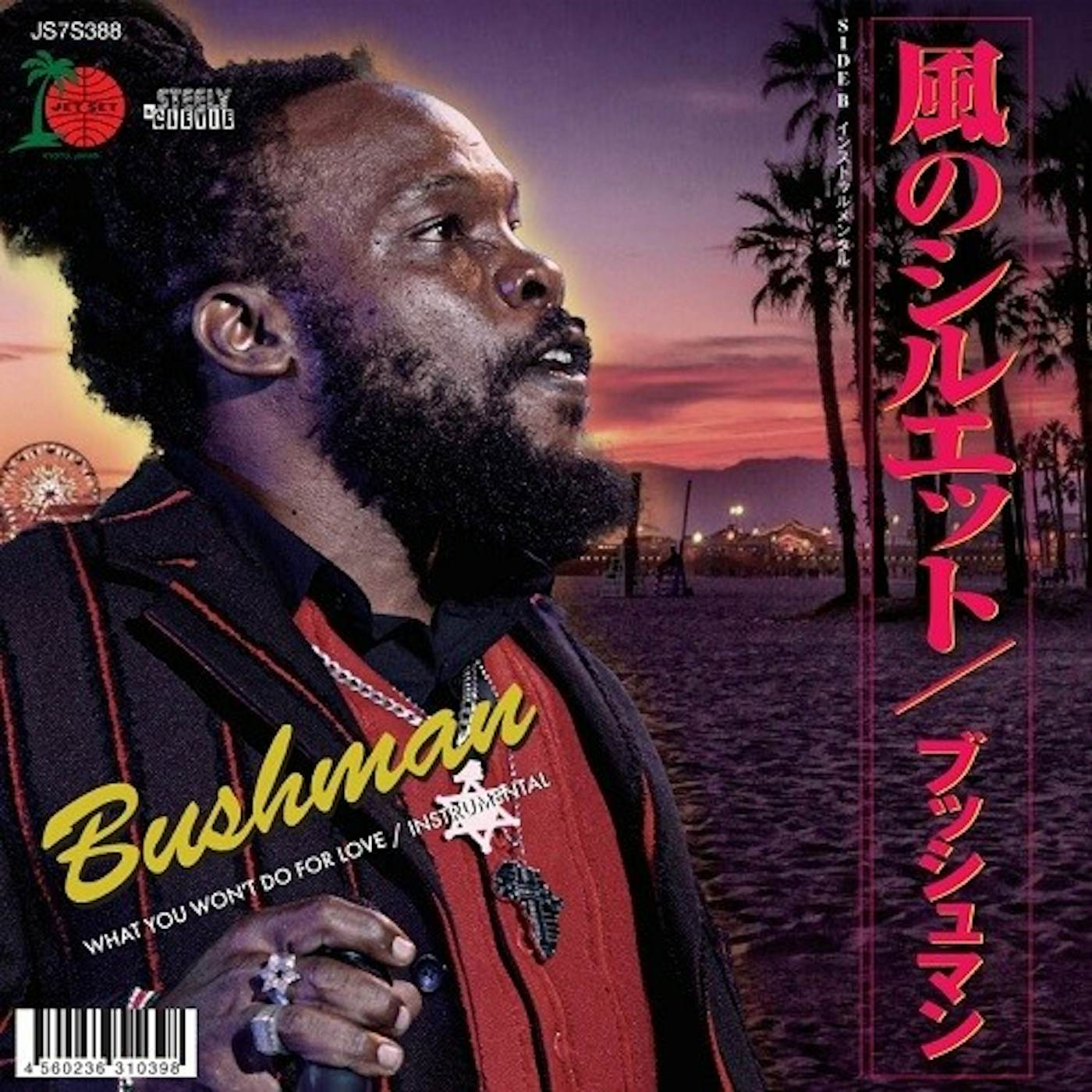 Bushman WHAT YOU WON'T DO FOR LOVE Vinyl Record