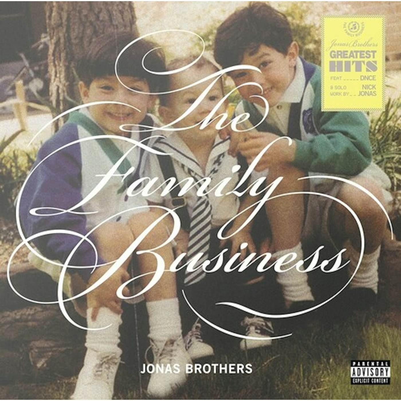 Jonas Brothers FAMILY BUSINESS CD