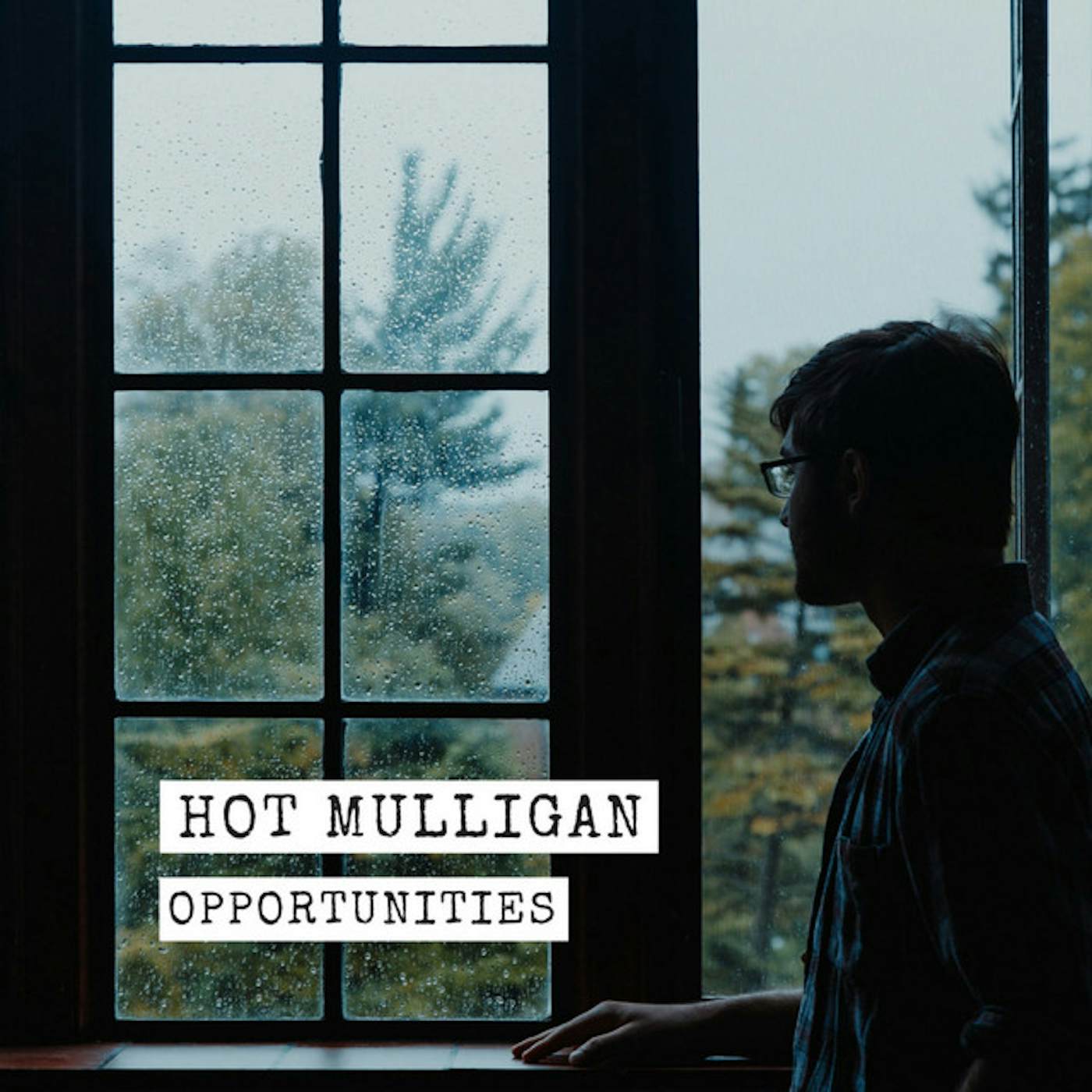 Hot Mulligan Opportunities Vinyl Record