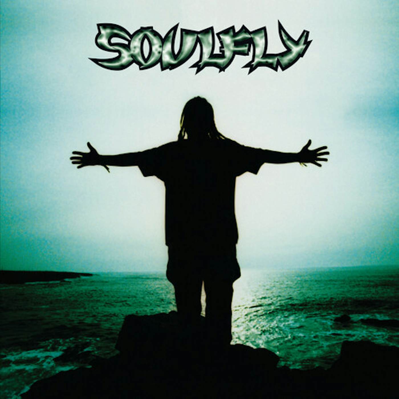 Soulfly Vinyl Record