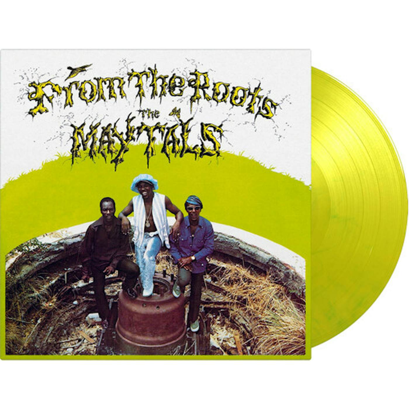 The Maytals FROM THE ROOTS Vinyl Record