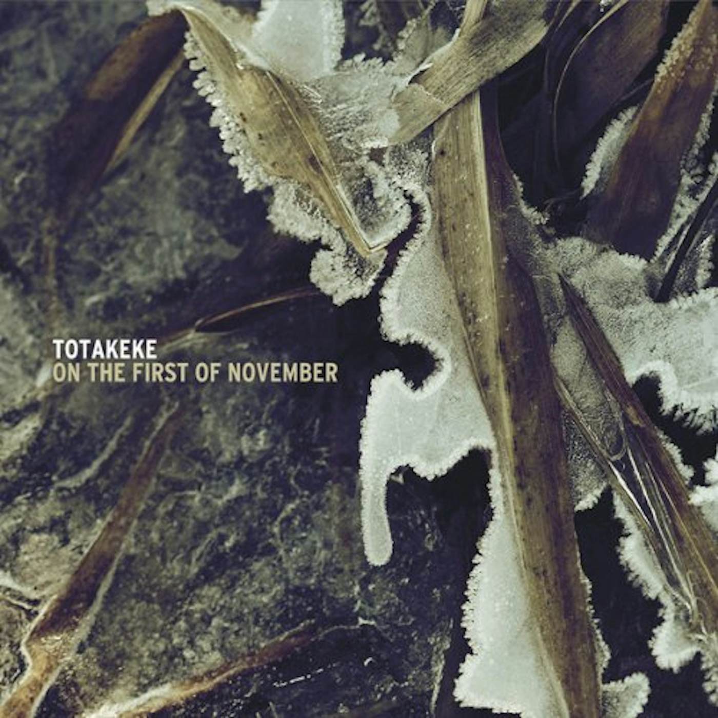 Totakeke ON THE FIRST OF NOVEMBER CD