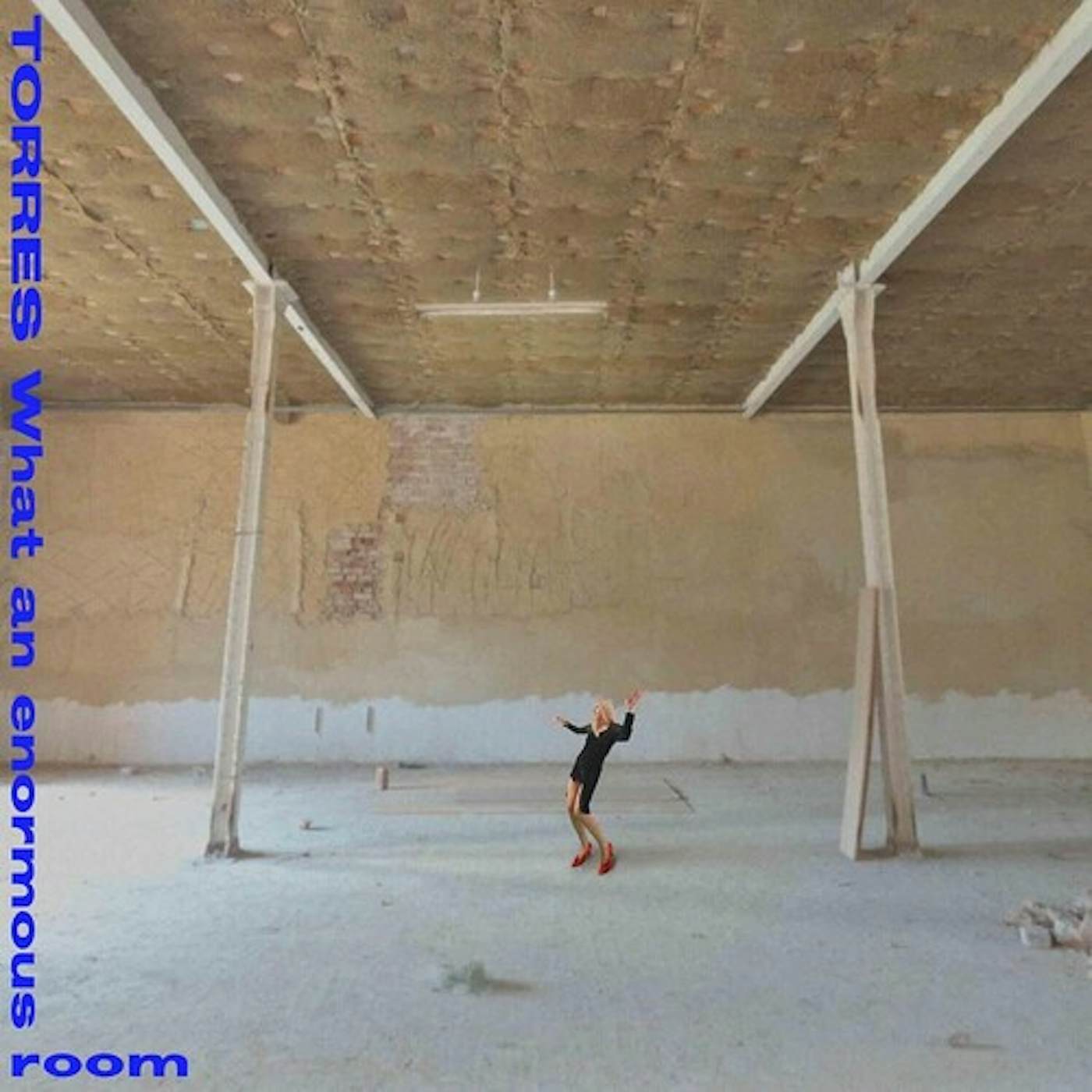 TORRES WHAT AN ENORMOUS ROOM CD