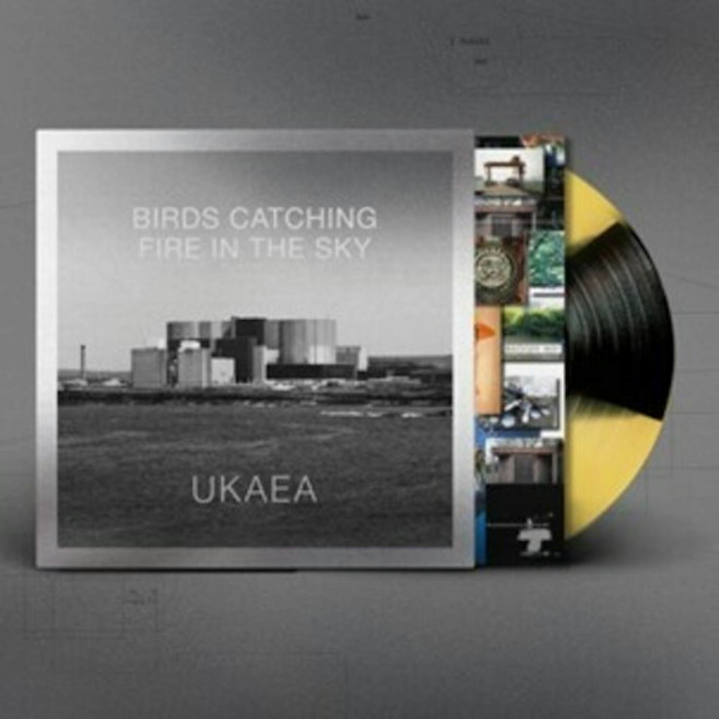 UKAEA BIRDS CATCHING FIRE IN THE SKY Vinyl Record