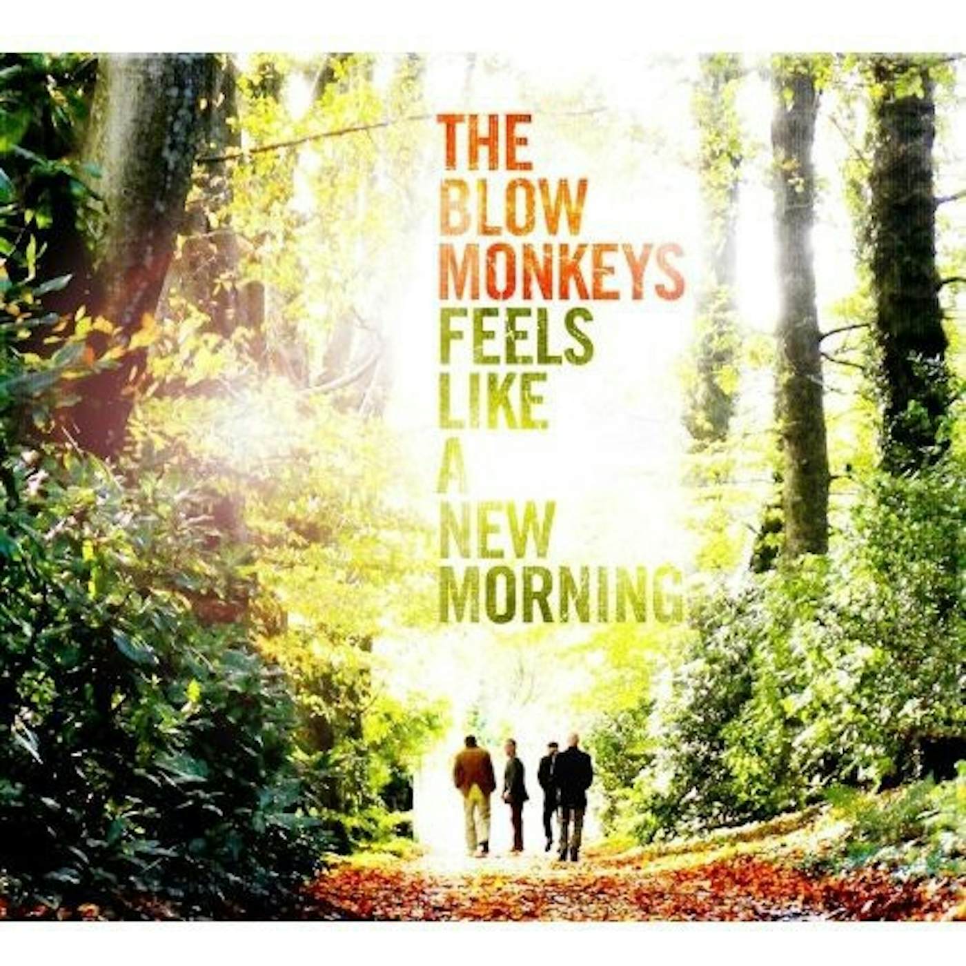 The Blow Monkeys FEELS LIKE A NEW MORNING CD