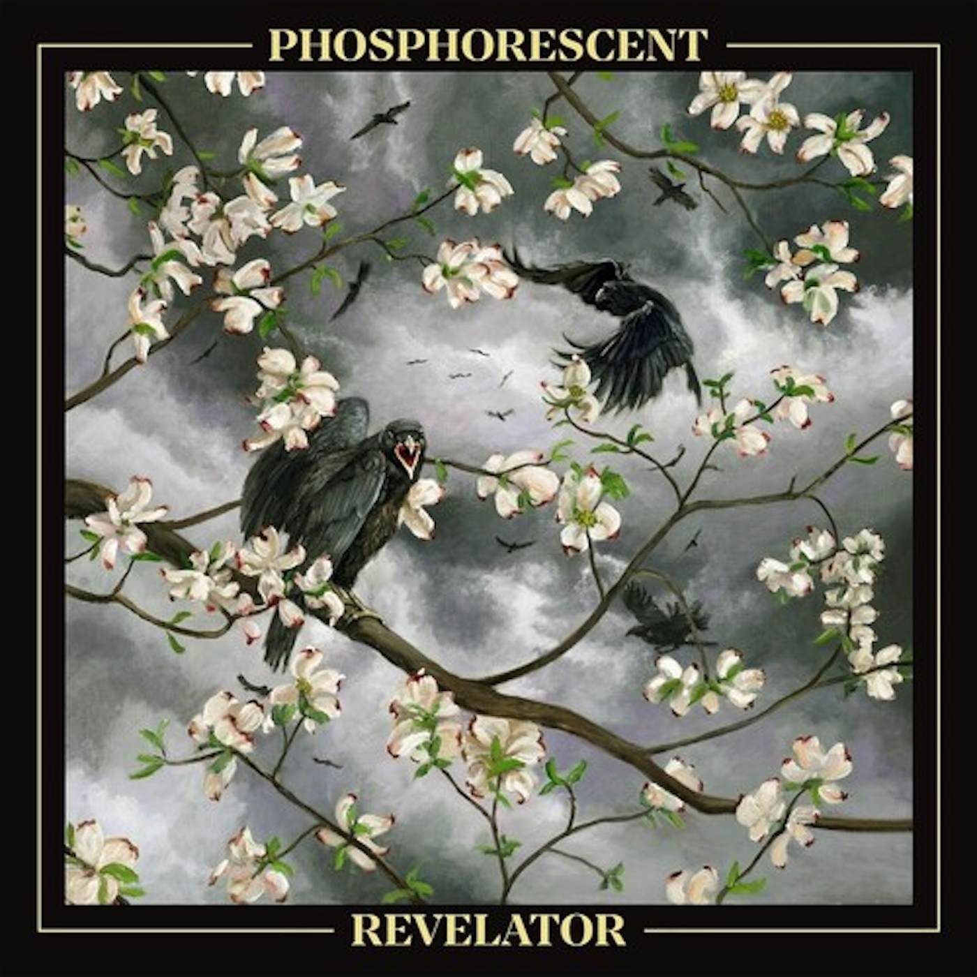 Phosphorescent Revelator Vinyl Record