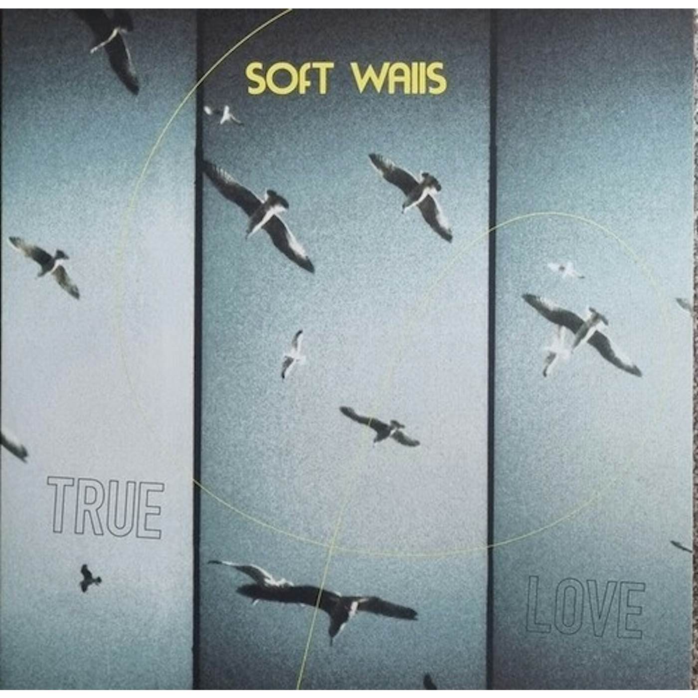 The Soft Walls TRUE LOVE Vinyl Record