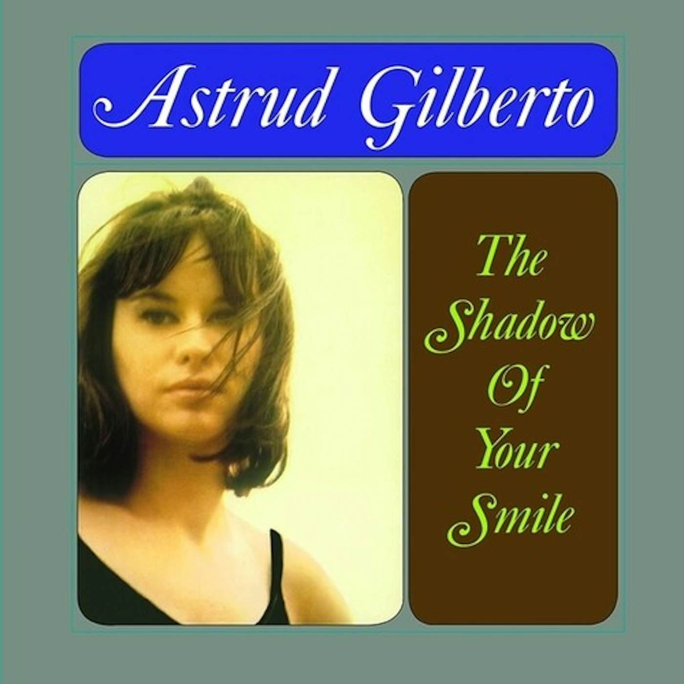 Astrud Gilberto Shadow Of Your Smile Vinyl Record