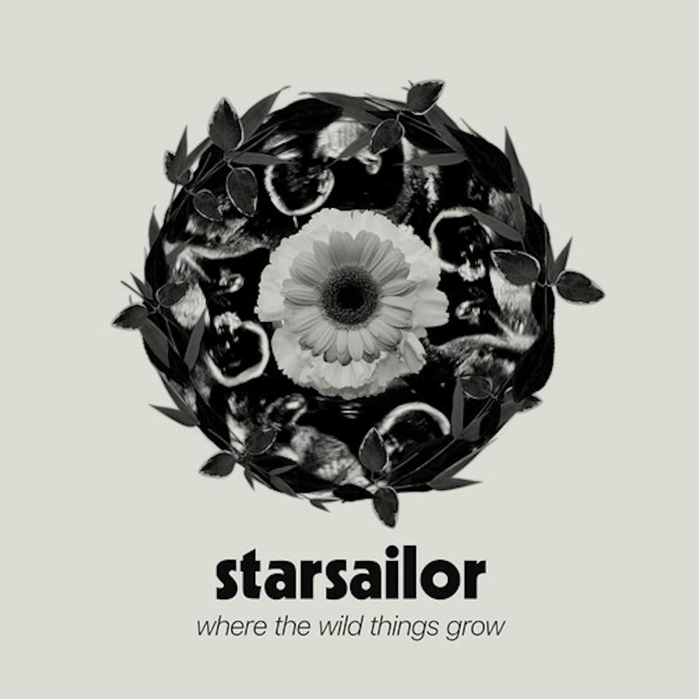 Starsailor WHERE THE WILD THINGS GROW CD