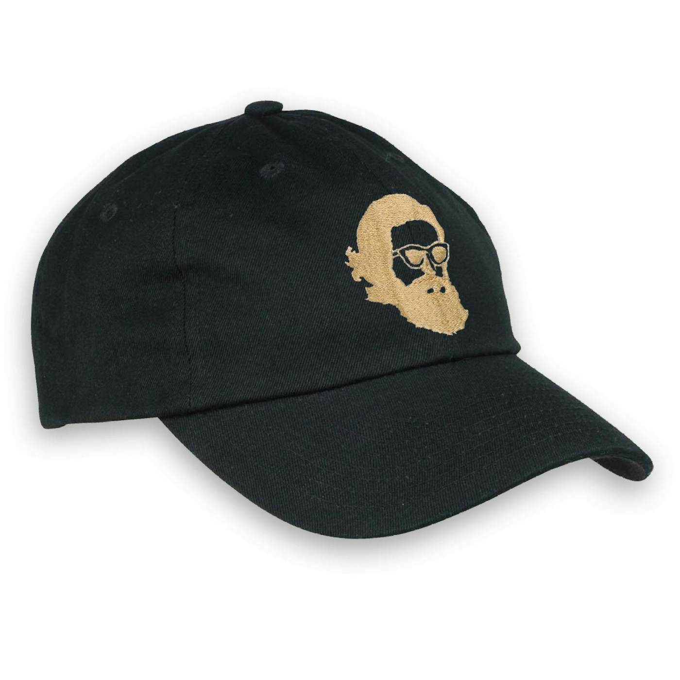Father John Misty 'Misty Face' Embroidered Dad Hat