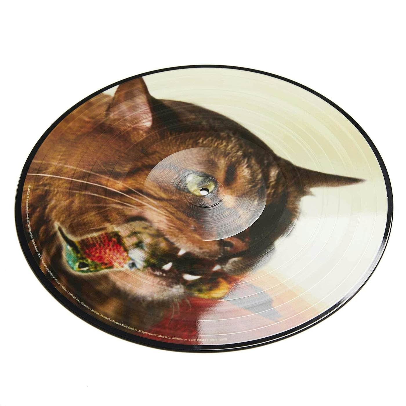Guster 'The Meowstro Sings: Keep It Together' 12" Vinyl Picture Disc