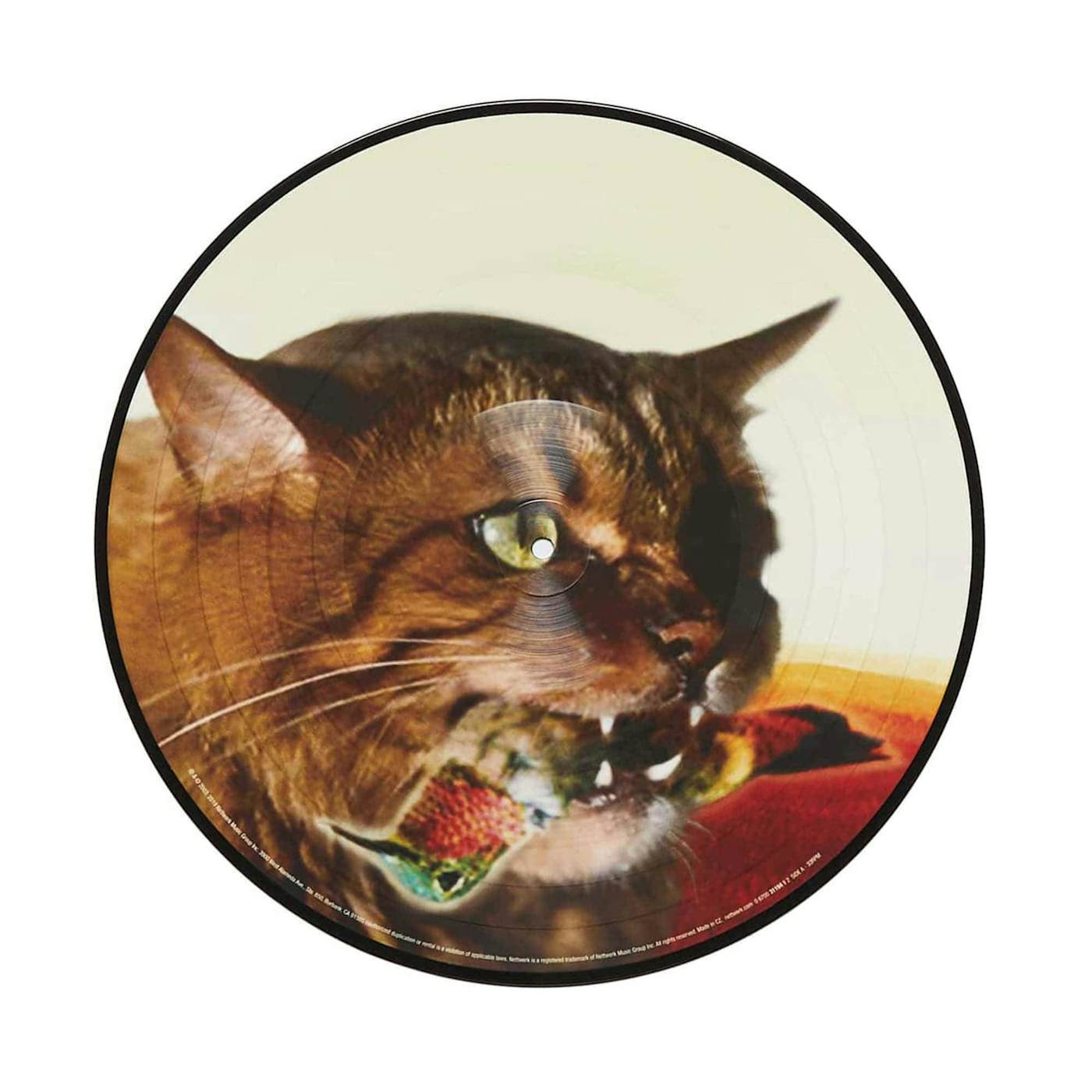 Guster 'The Meowstro Sings: Keep It Together' 12" Vinyl Picture Disc