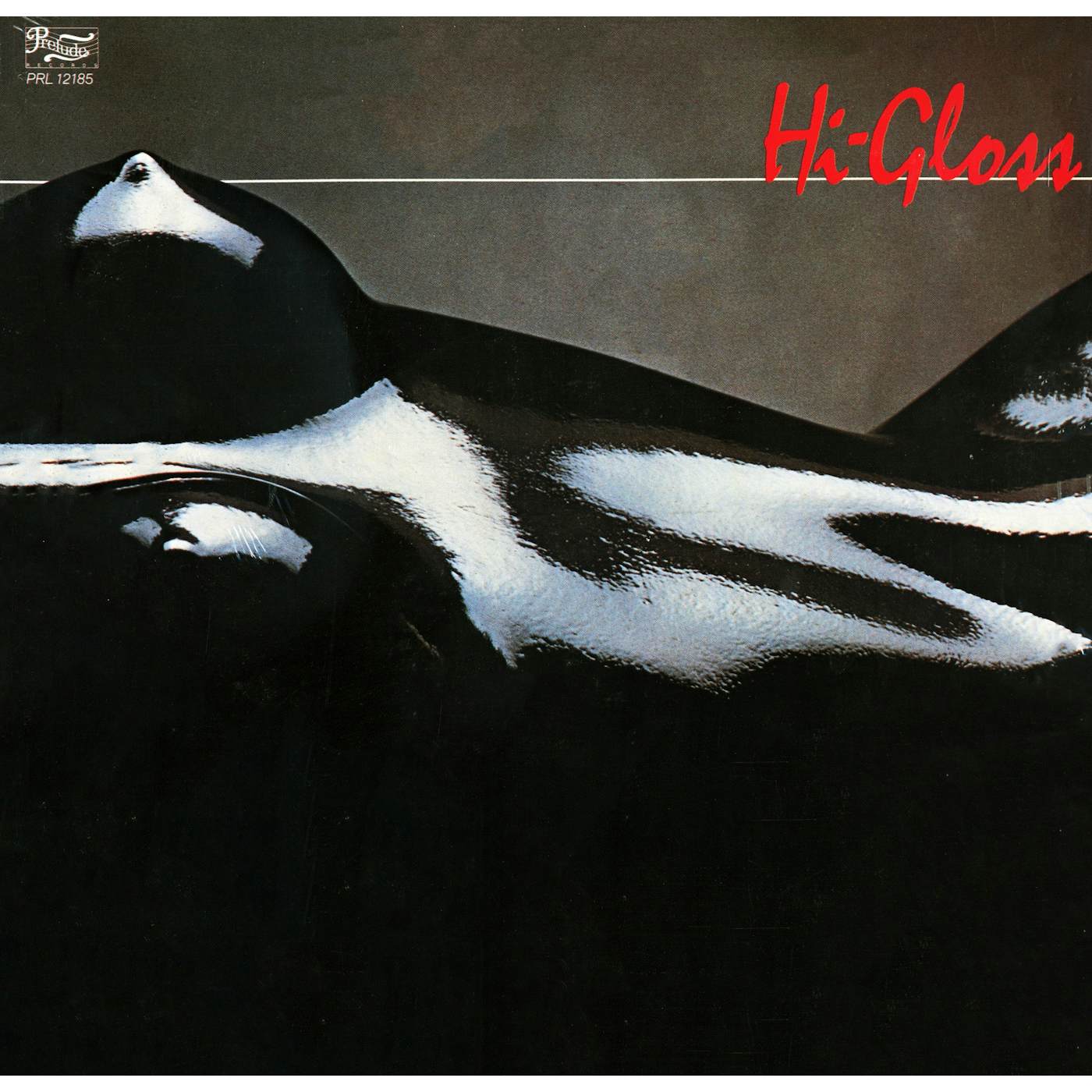 Hi-Gloss - (12" Vinyl)