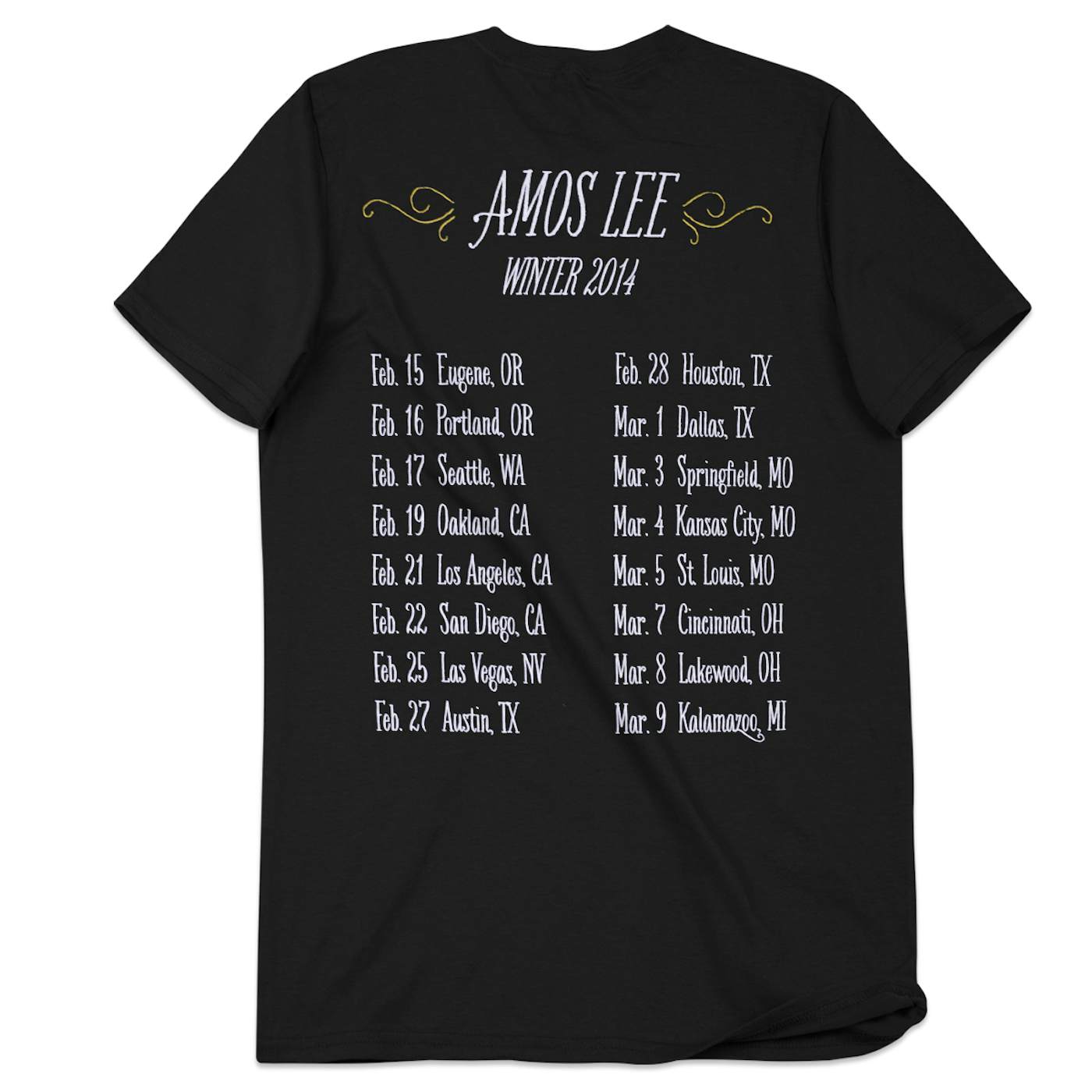 Amos Lee Winter 2014 Tour T-Shirt
