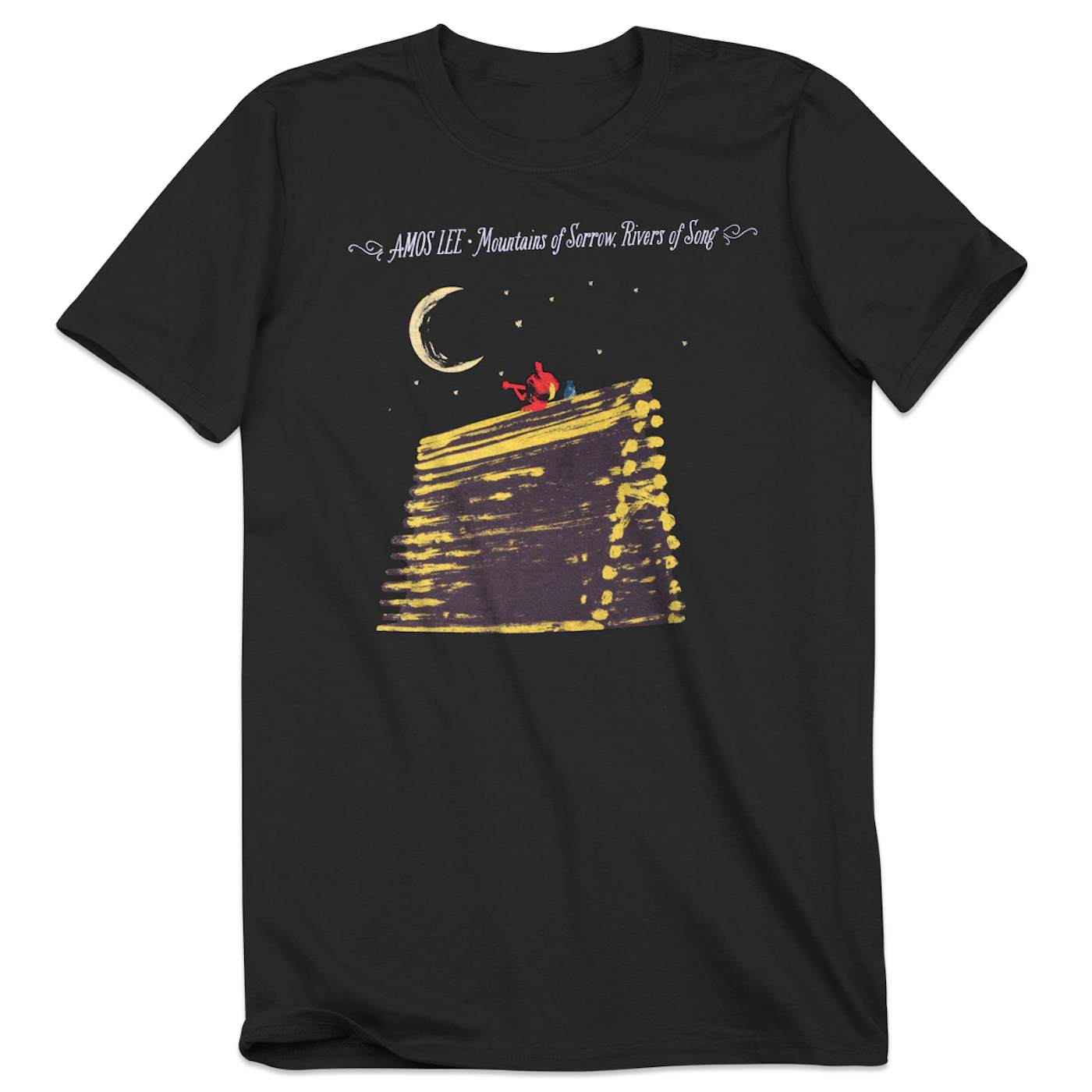 Amos Lee Winter 2014 Tour T-Shirt