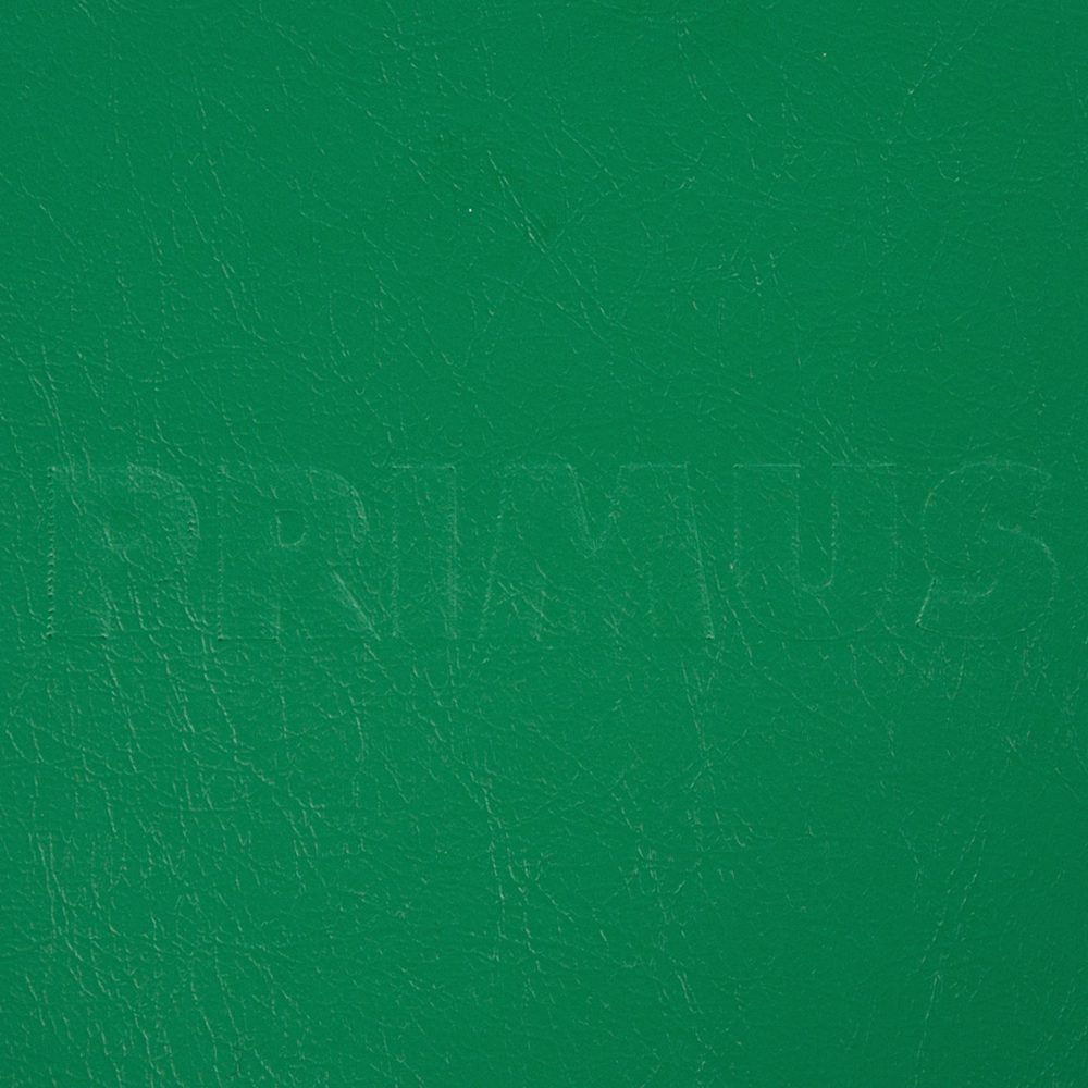 Primus Green Naugahyde 10"