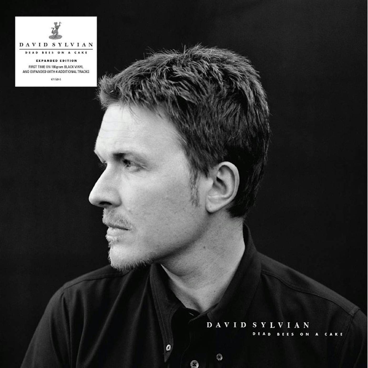 David Sylvian - Dead Bees On A Cake Expanded Edition