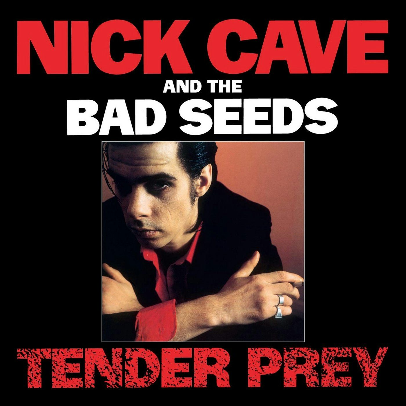 Nick Cave u0026 The Bad Seeds - Tender Prey