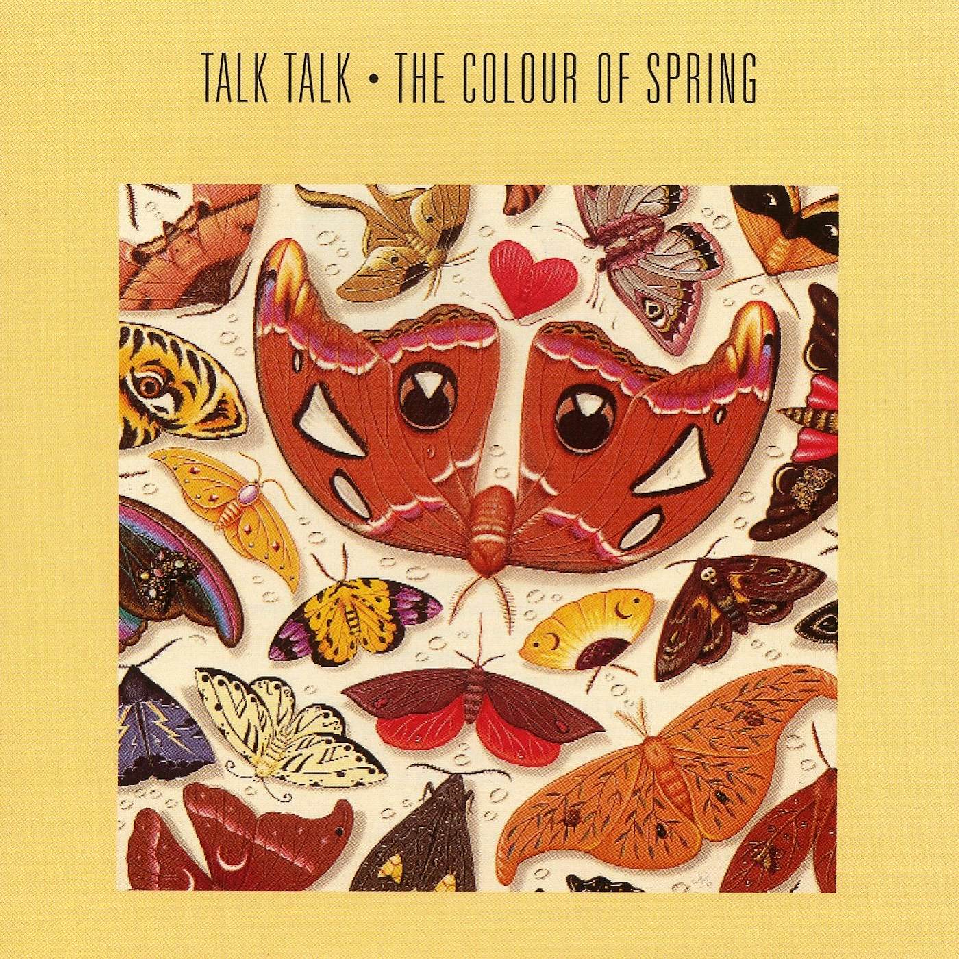 Talk Talk Color Of Spring