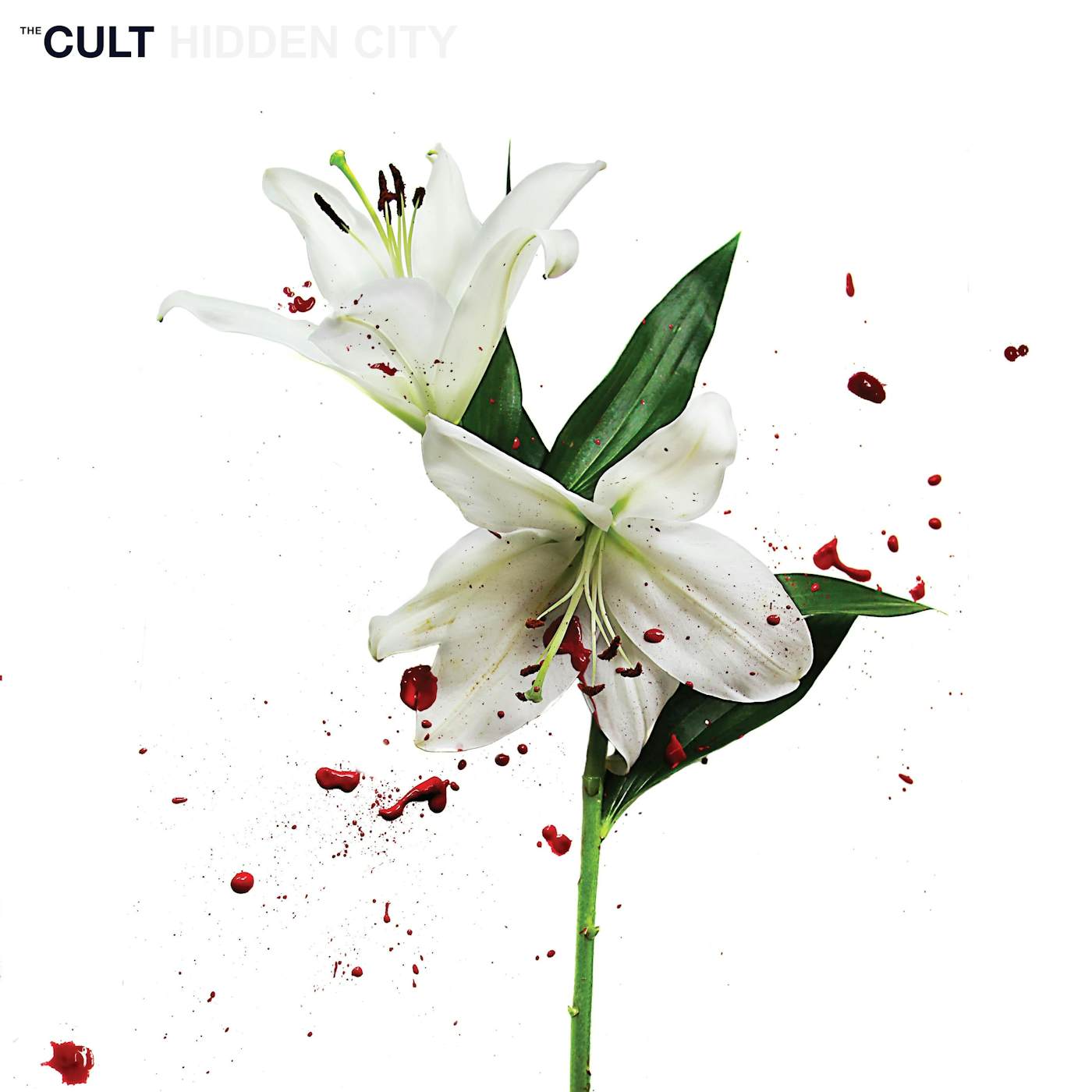 The Cult Cult - Hidden City