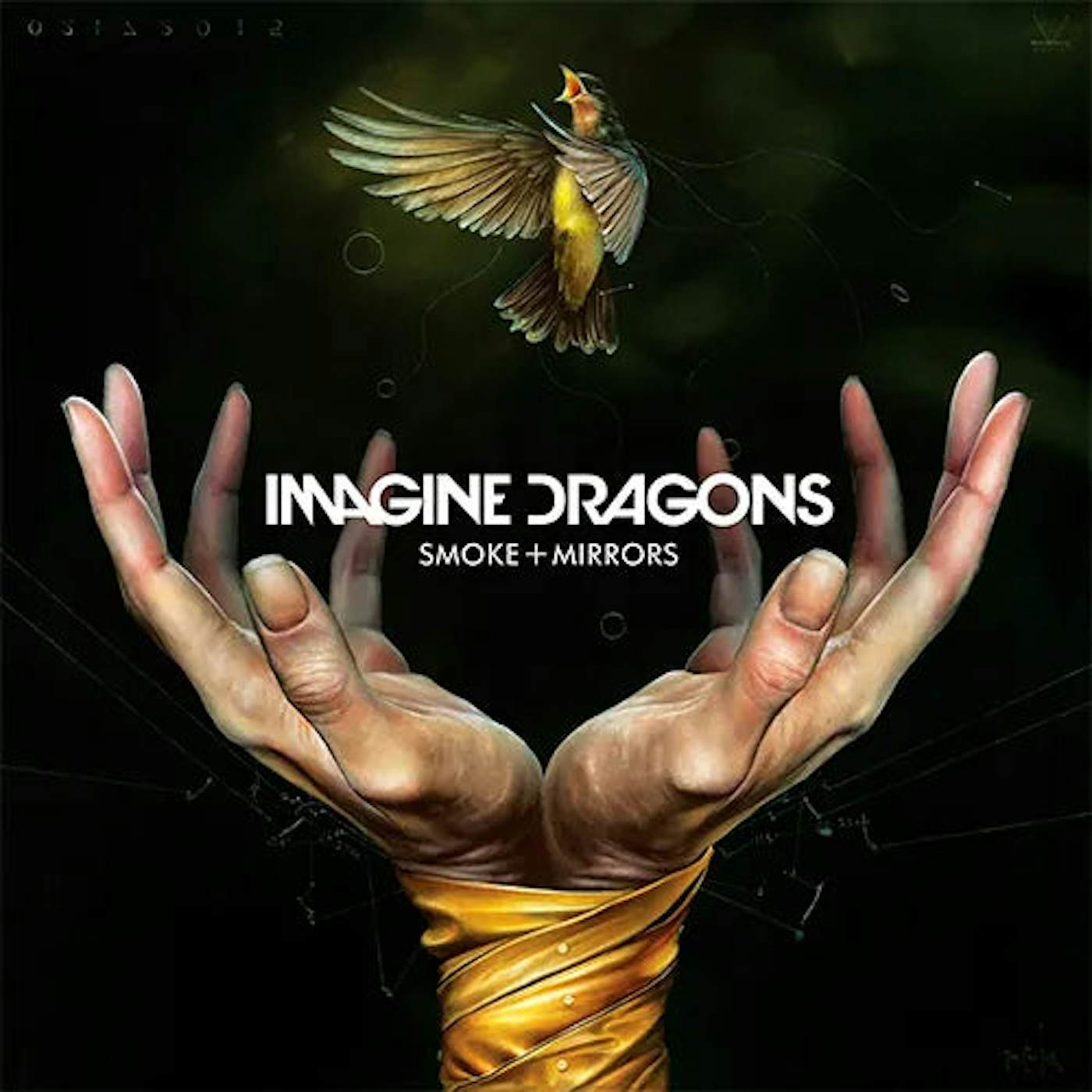Imagine Dragons - Live from Vegas - Double Vinyle couleur – VinylCollector  Official FR