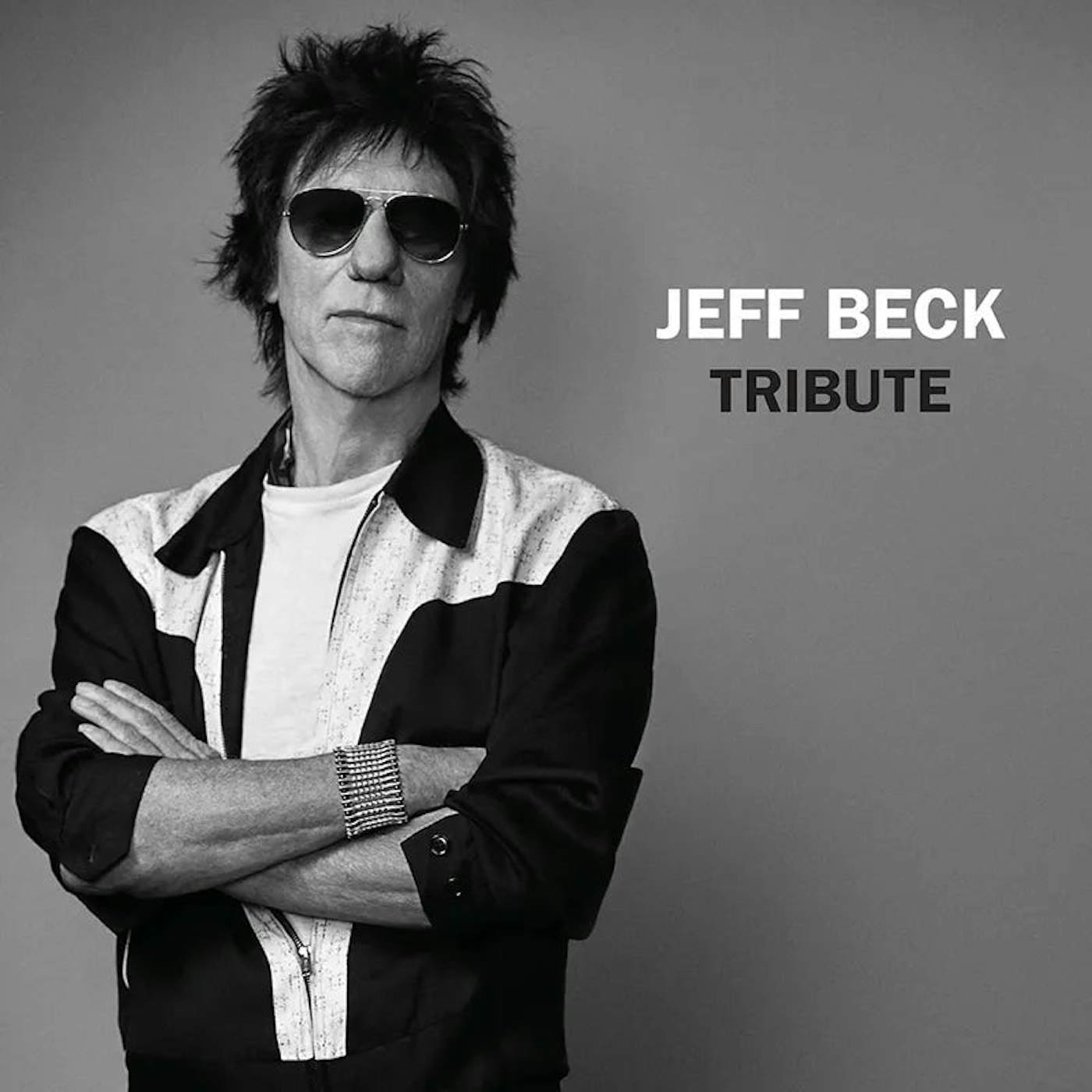 Jeff Beck - Tribute RSD 2023 (Vinyl)