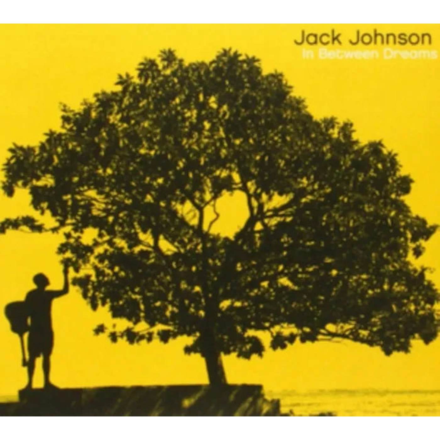 Jack Johnson - In Between Dreams.