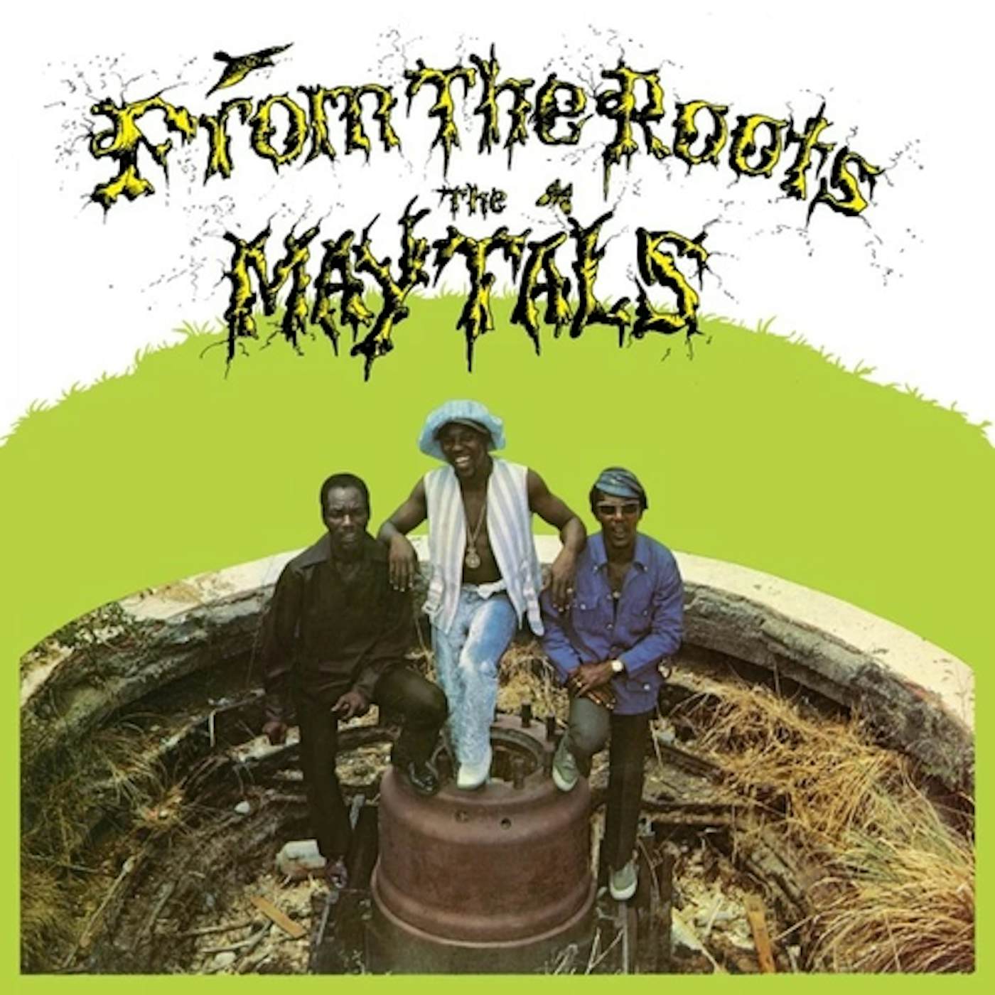The Maytals FROM THE ROOTS (180G) Vinyl Record