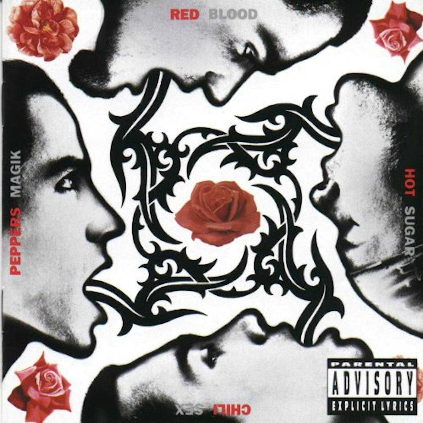Red Hot Chili Peppers Blood Sugar Sex Magik (2 LP) (Vinyl)