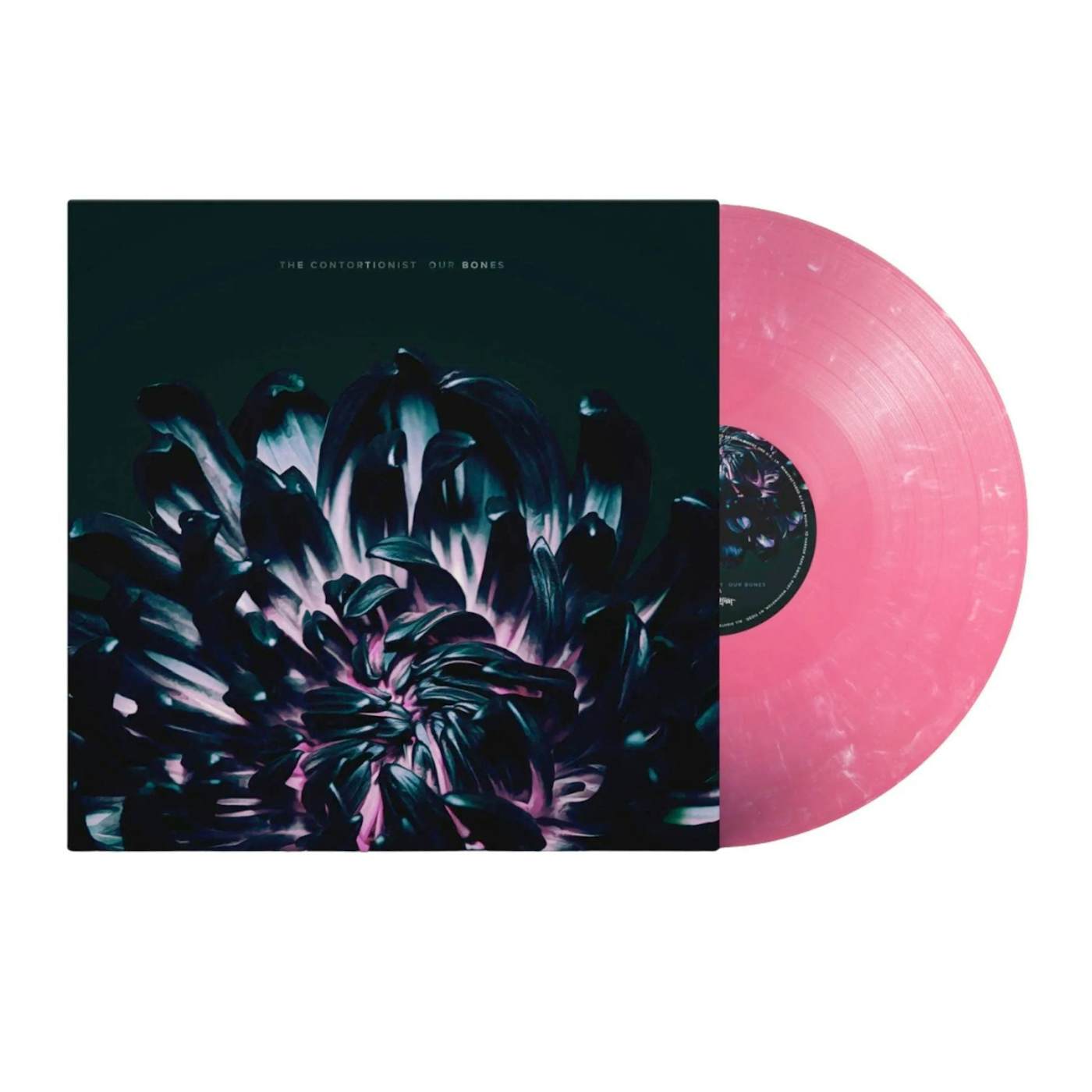 The Contortionist "Our Bones" 12"