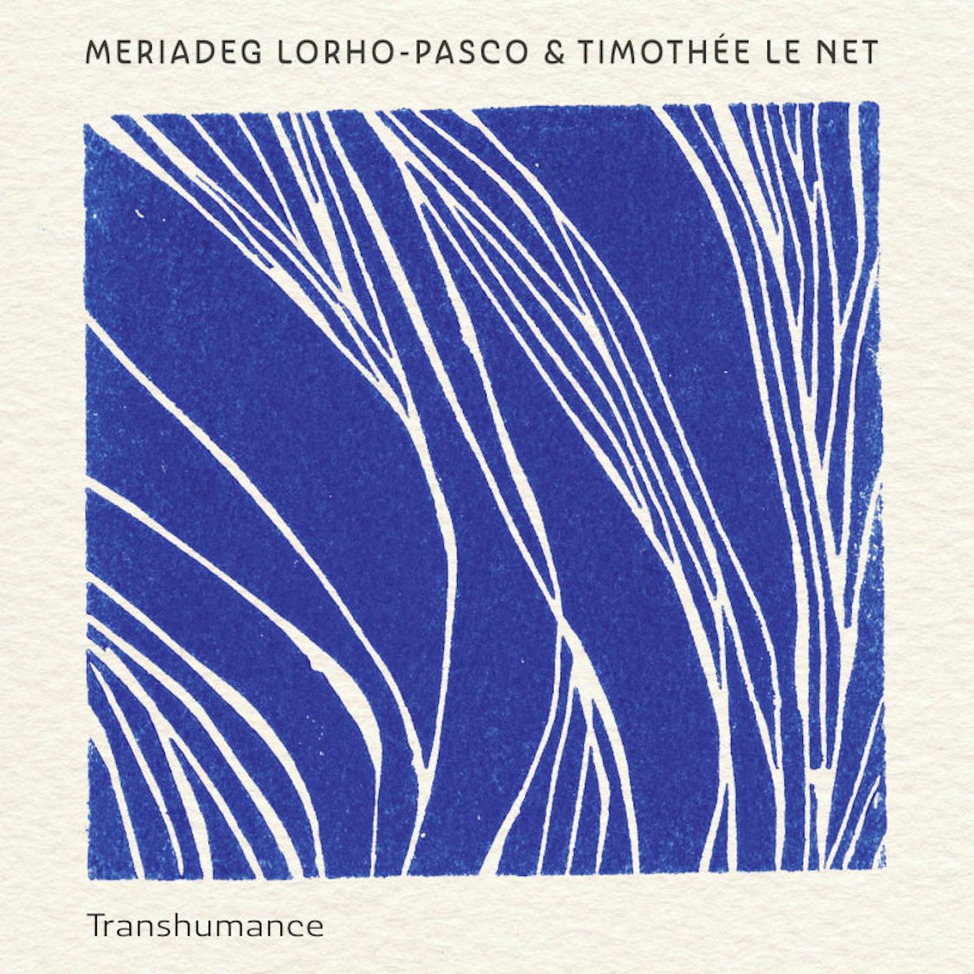 Meriadeg Lorho-Pasco & Timothée Le Net TRANSHUMANCE - MERIADEG LORHO PASCO / TIMOTHEE LE NET (CD)