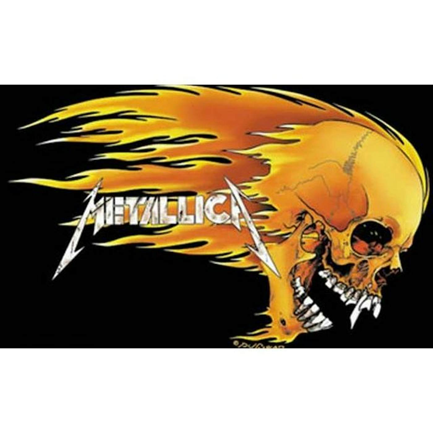 Metallica Skull & Flames Fabric Poster