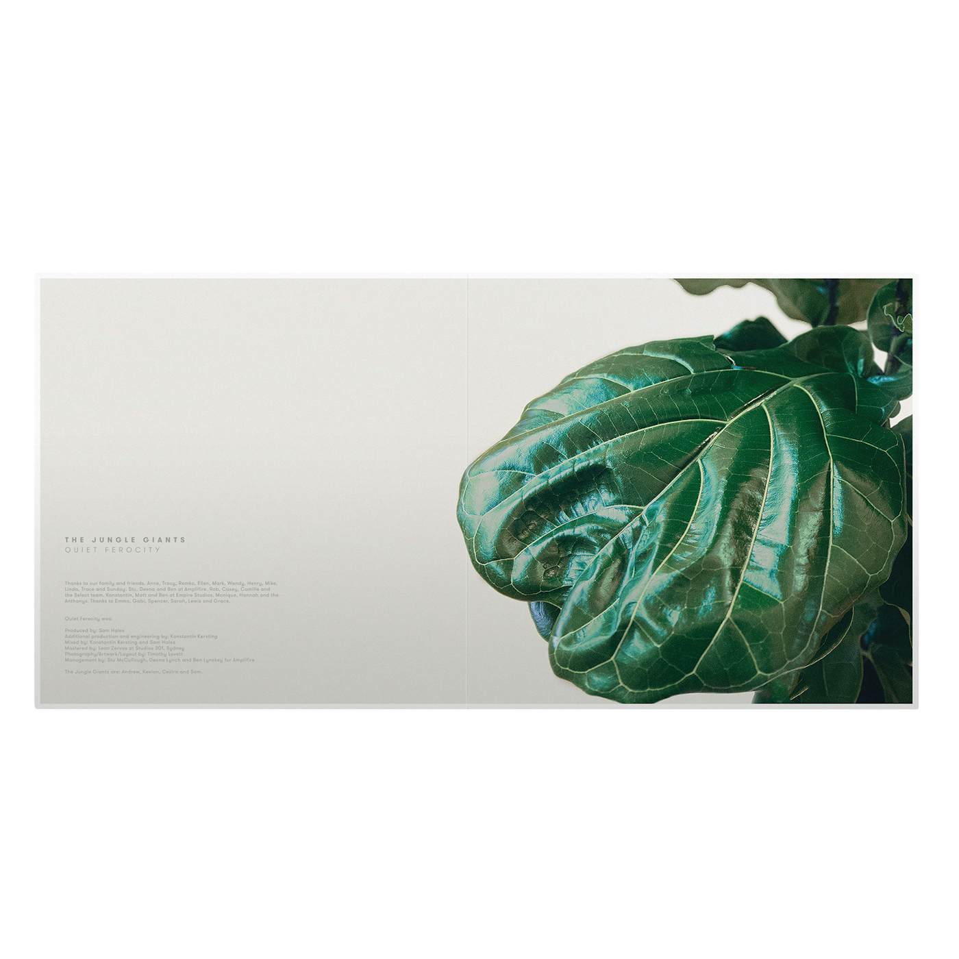 The Jungle Giants - Quiet Ferocity LP (Vinyl)