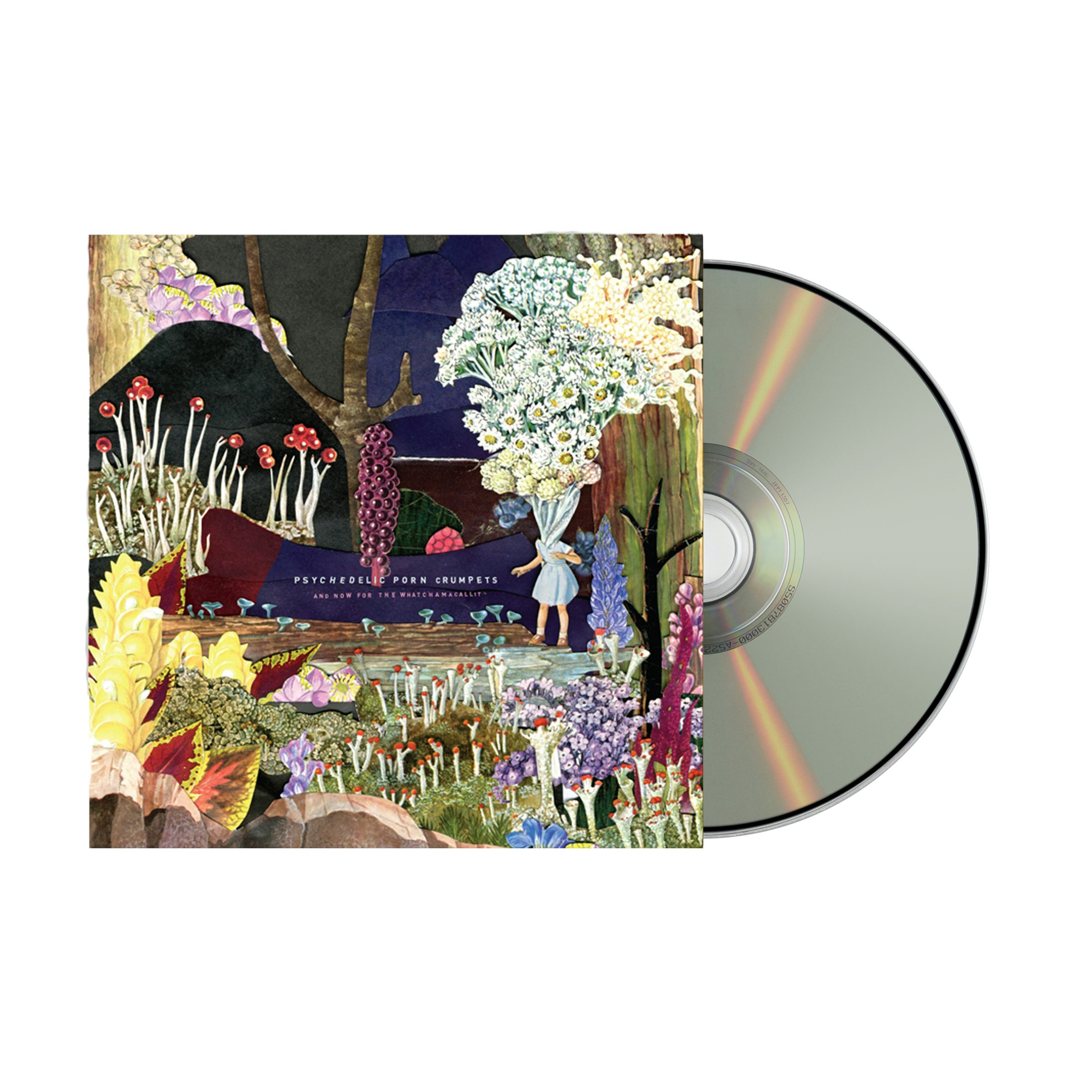Psychedelic Porn Crumpets And Now For The Whatchamacallit / CD