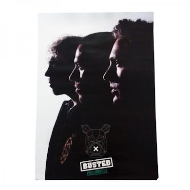 Busted A1 Poster