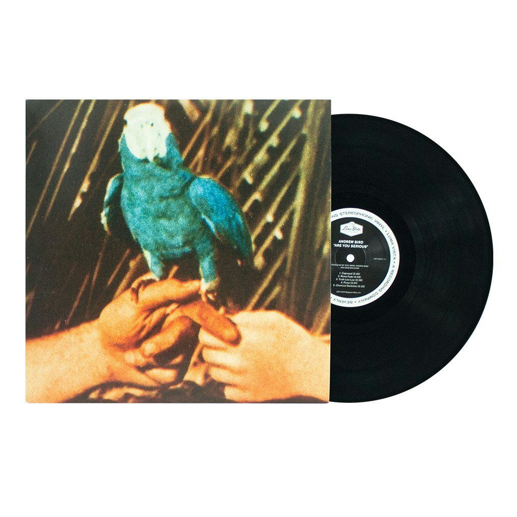 Andrew Bird - Are You Serious Vinyl