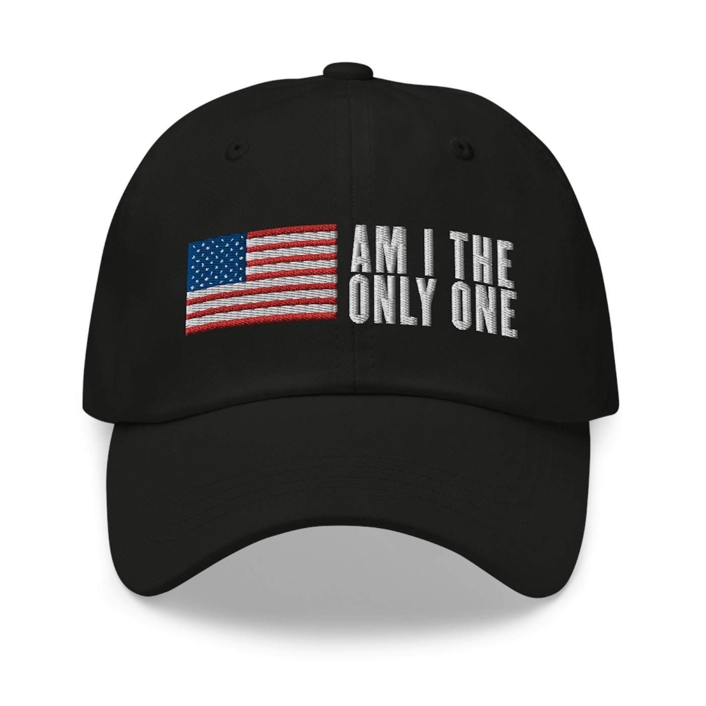 Aaron Lewis Am I The Only One Dad Hat