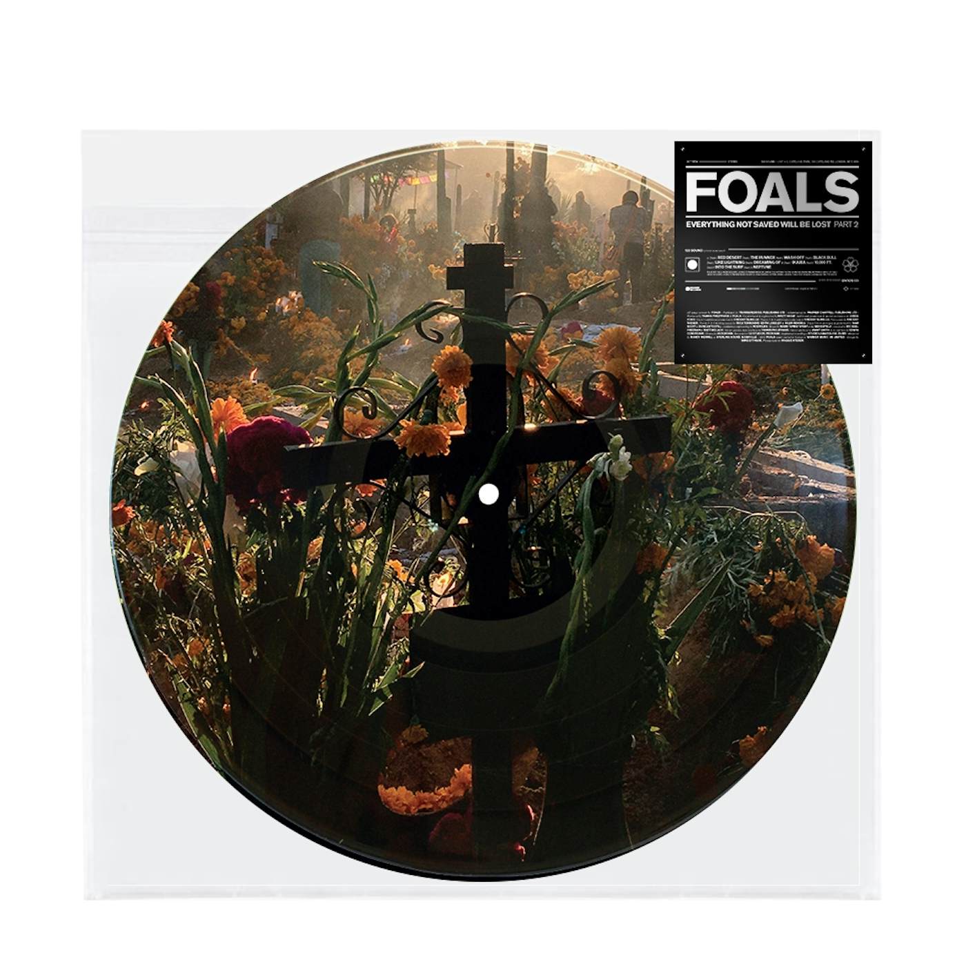 Foals Everything Not Saved Will Be Lost Part Two Picture Disc