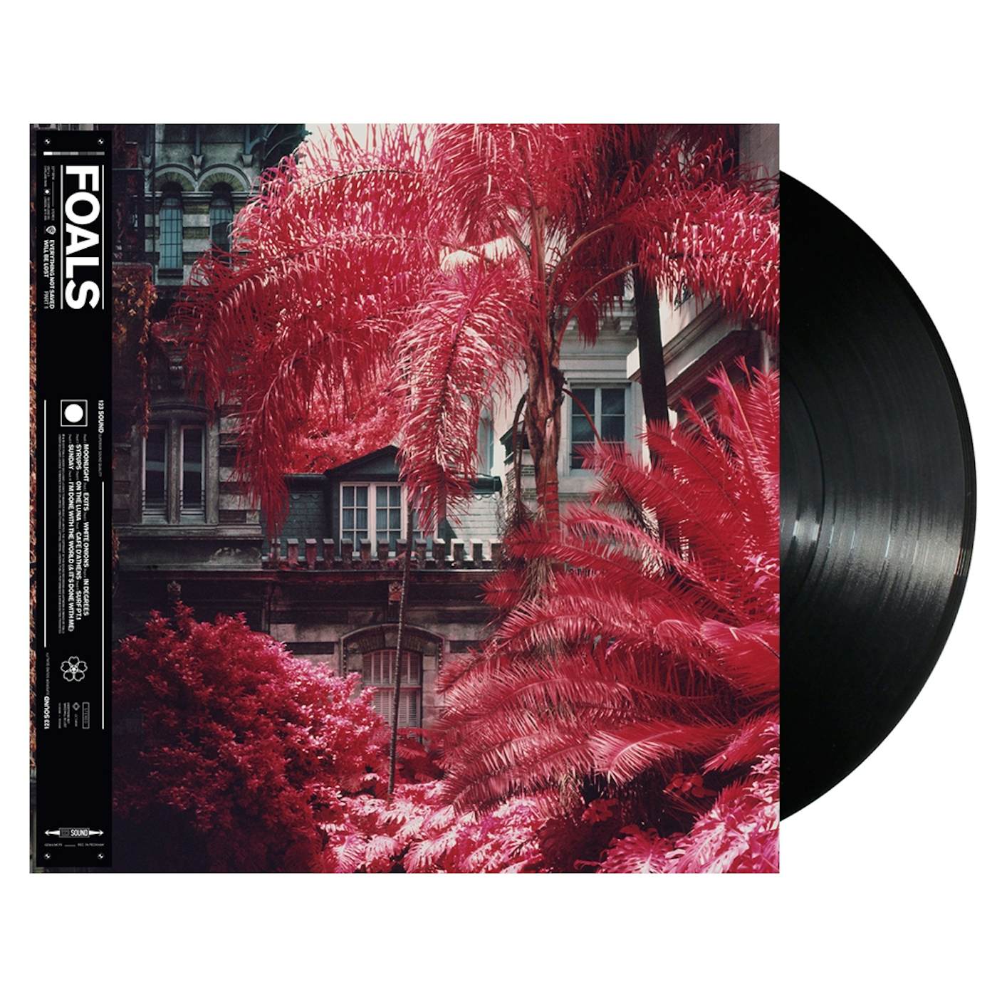 Foals Everything Not Saved Will Be Lost  Part 1: Vinyl