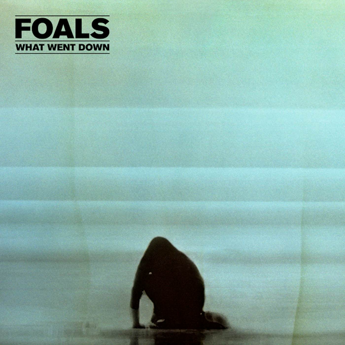 Foals What Went Down LP (Vinyl)