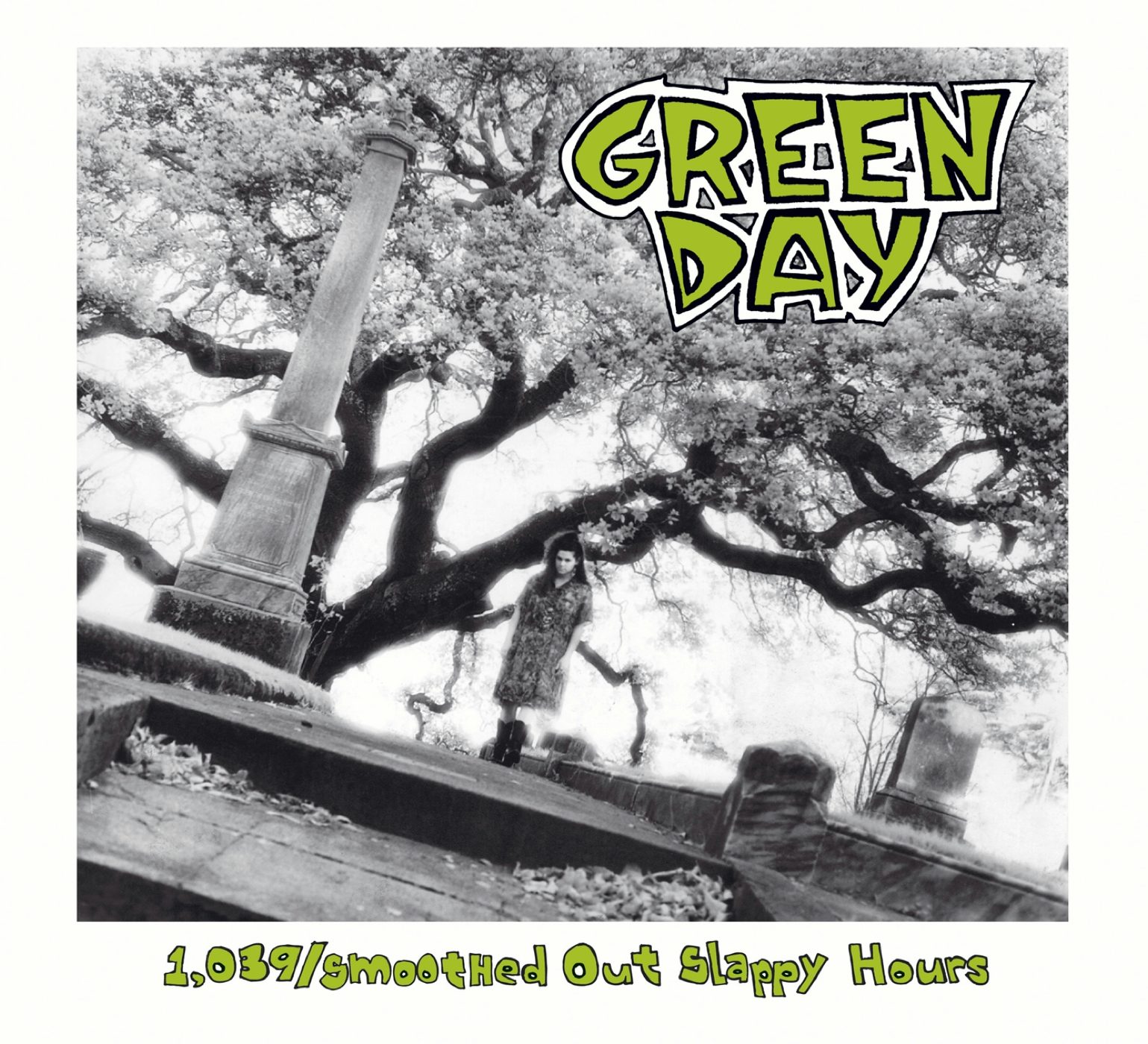 Green Day 1,039/Smoothed Out Slappy Hours (Jewel Case)